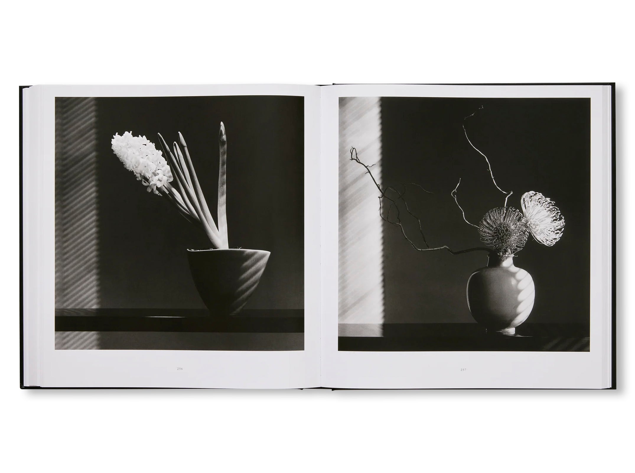 MAPPLETHORPE FLORA: THE COMPLETE FLOWERS by Robert Mapplethorpe