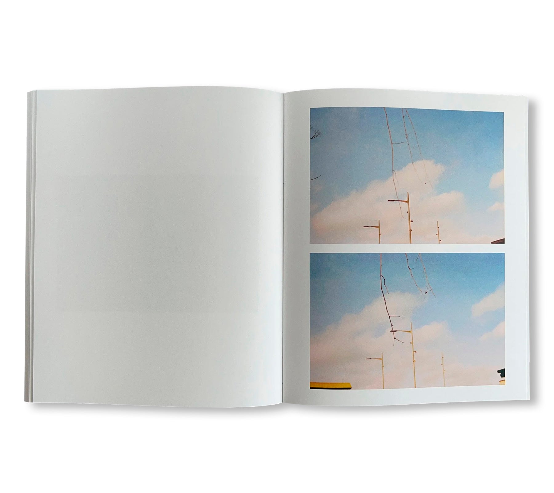 GATES TO THE GARDEN by Adam Kremer