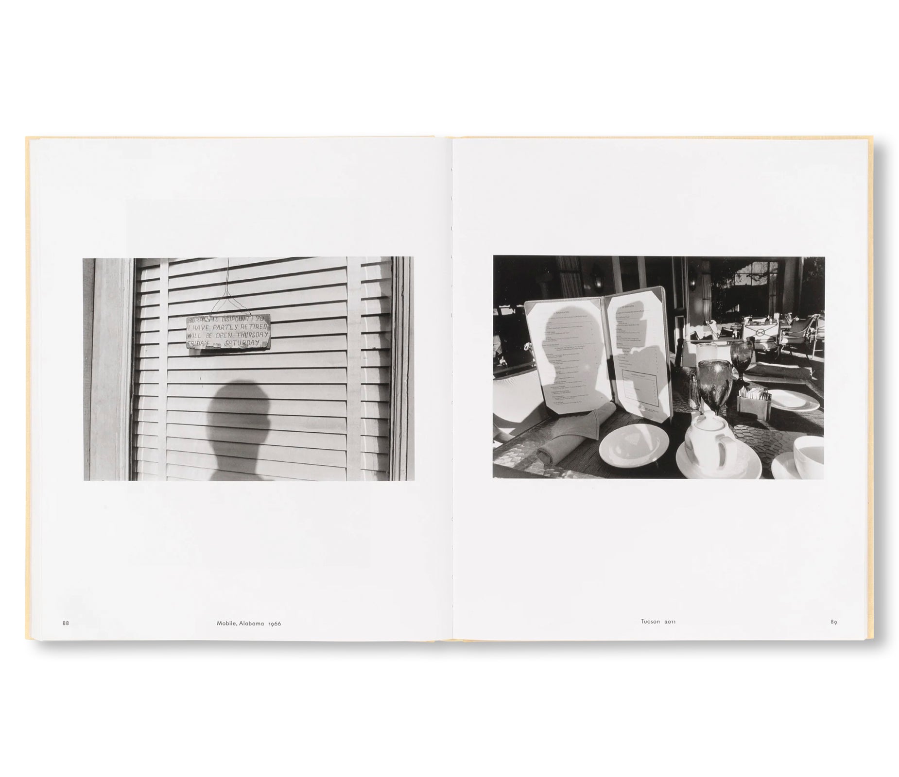 LIFE STILL by Lee Friedlander