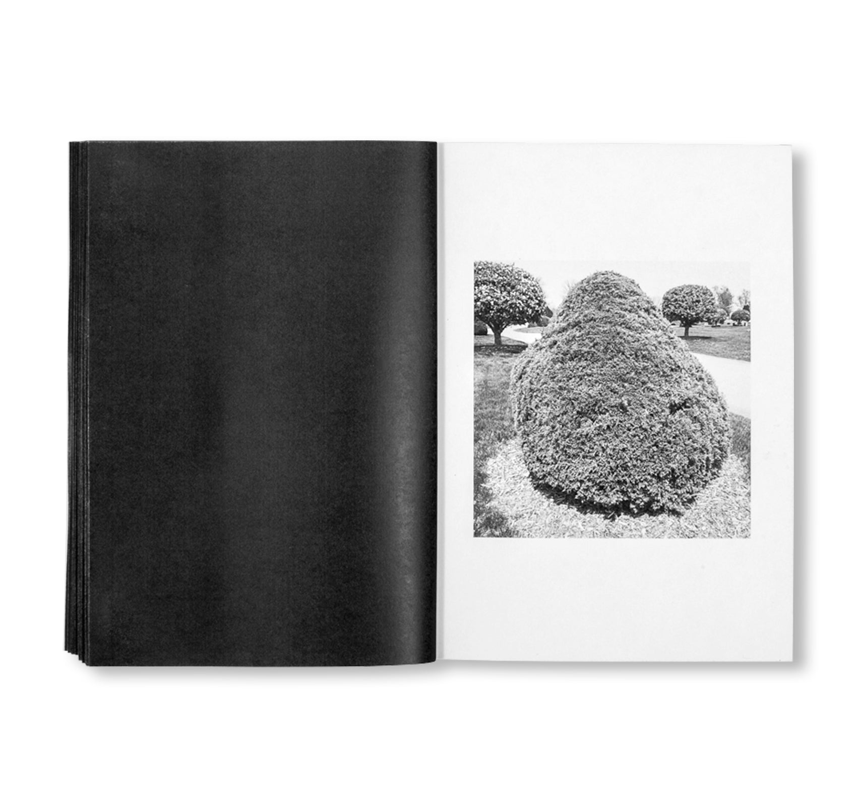 SHRUBS OF DEATH by Mike Slack [ENGLISH COVER / SIGNED]