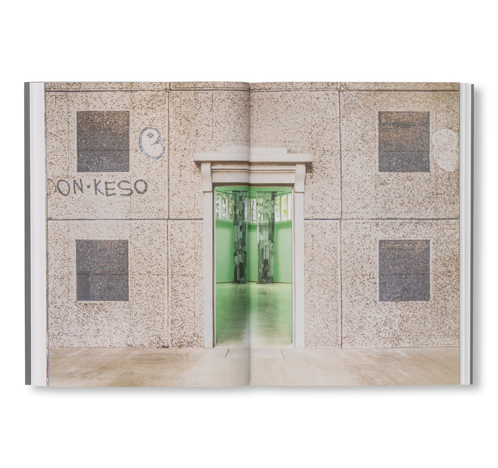 THE RUIN. THE GERMAN CONTRIBUTION TO THE 61ST VENICE BIENNALE by Henrike Naumann, Sung Tieu