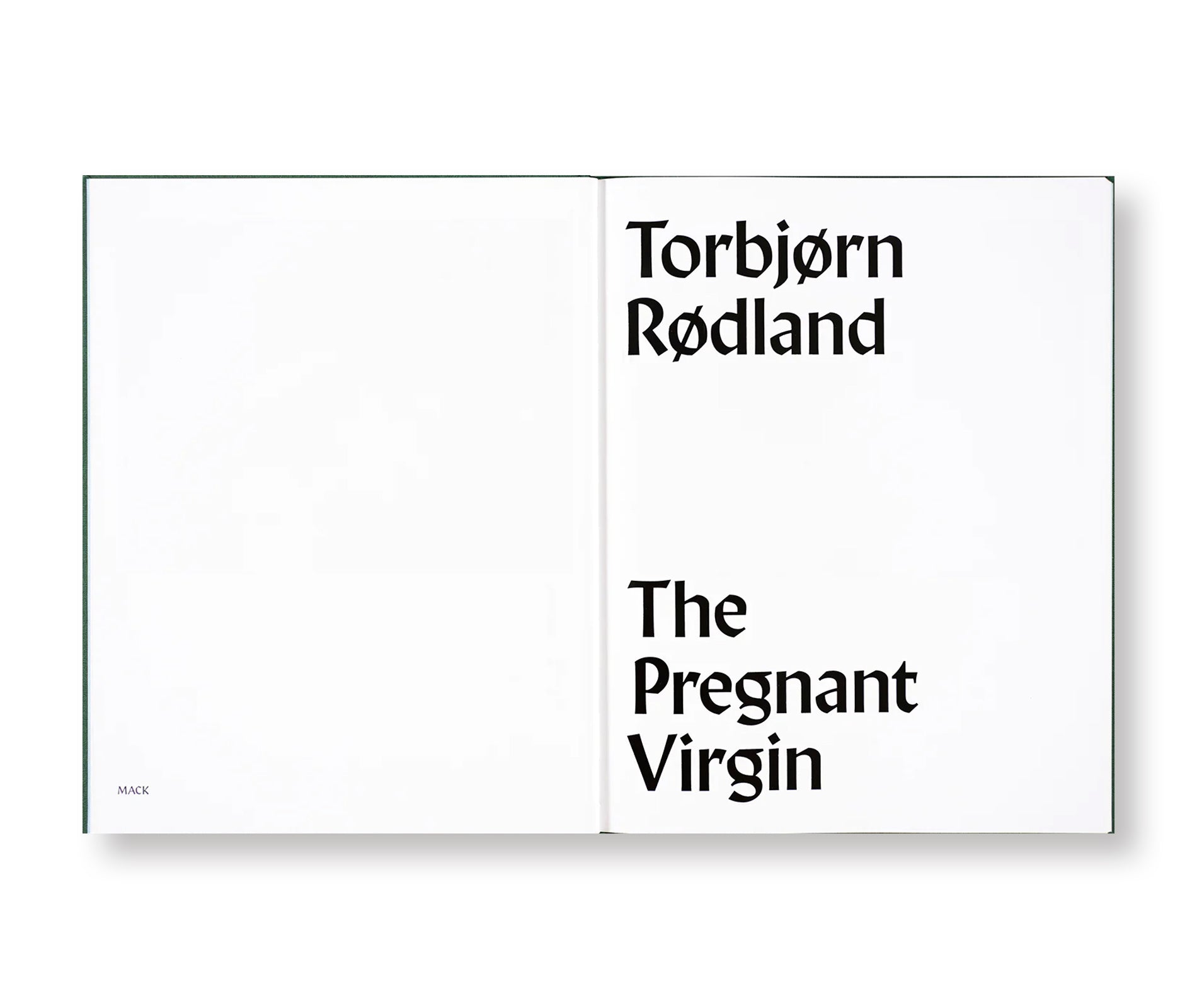 THE PREGNANT VIRGIN by Torbjørn Rødland