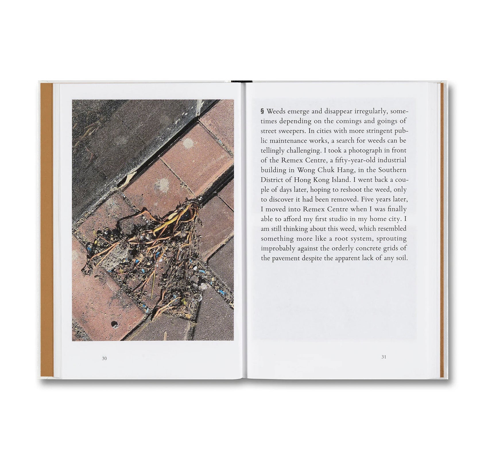 WEEDS: A GERMINATING THEORY by Kwan Queenie Li