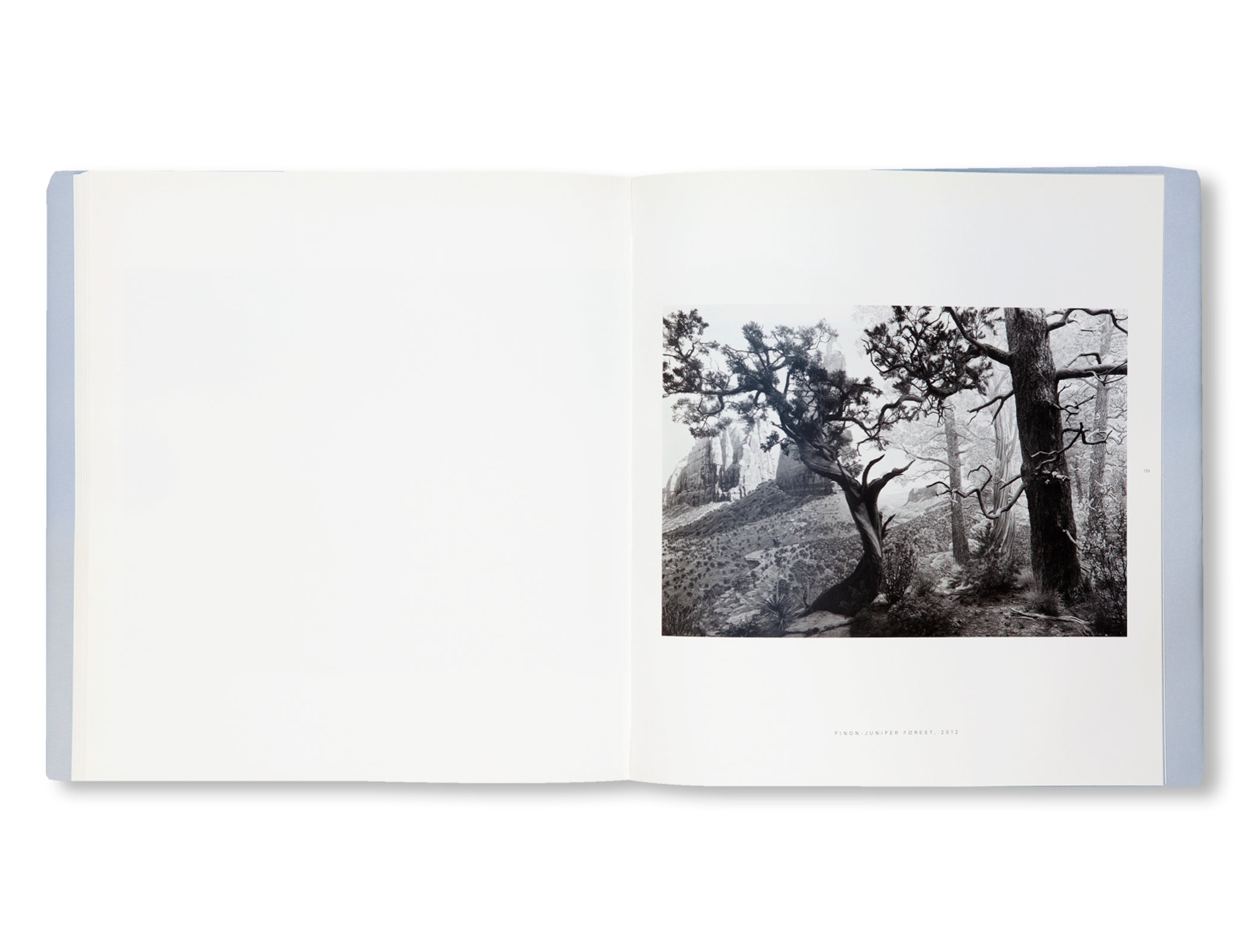DIORAMAS by Hiroshi Sugimoto
