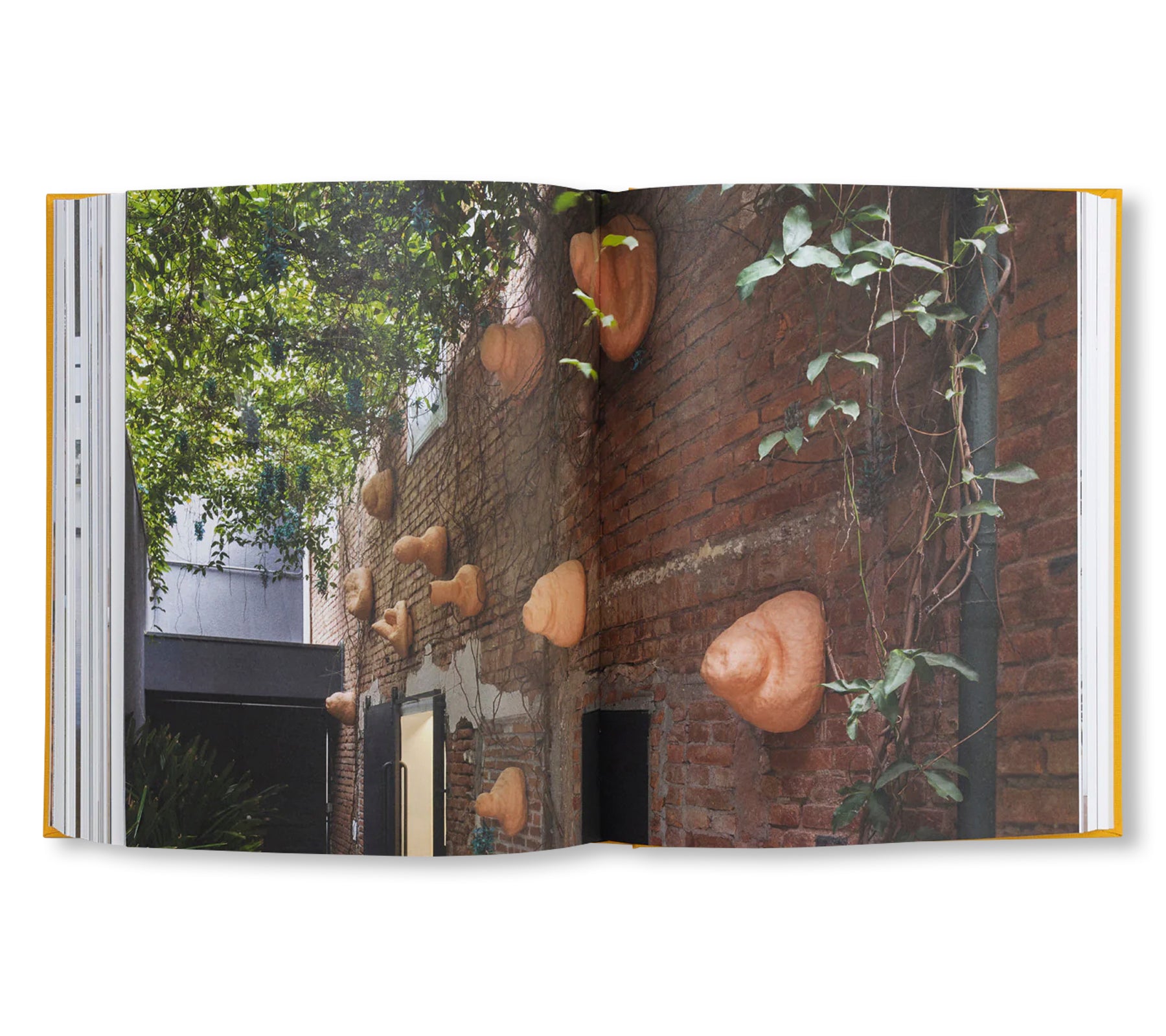 SOLANGE PESSOA (2020) by Solange Pessoa