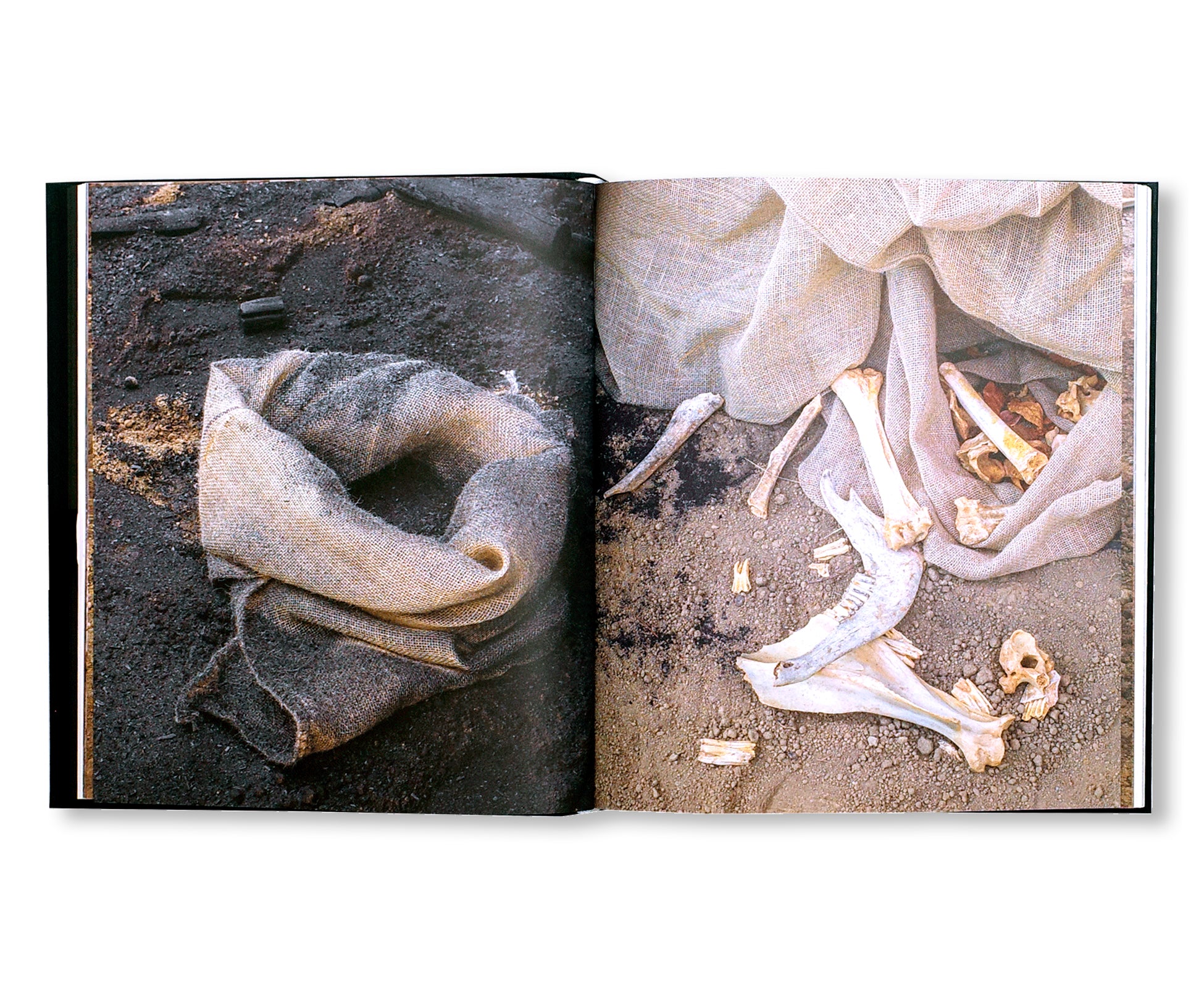 SOLANGE PESSOA (2023) by Solange Pessoa