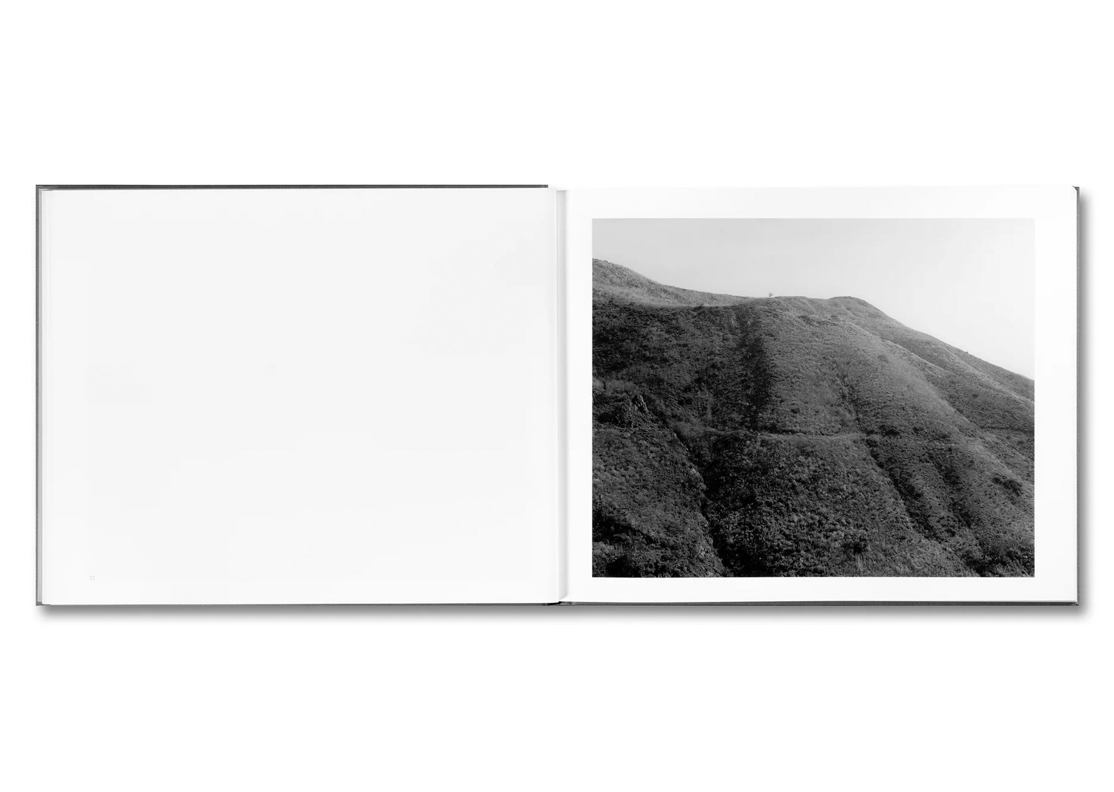 THE WESTERN EDGE by Mark Ruwedel