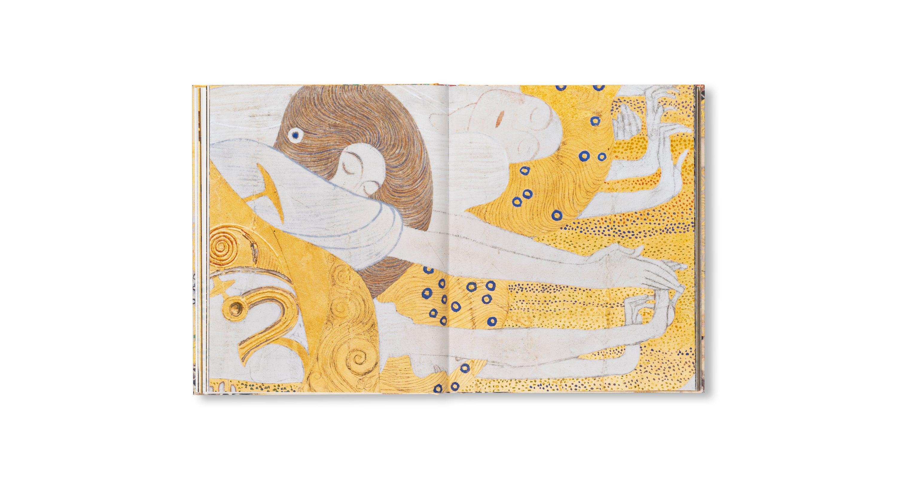 KLIMT - THE BIGGER PICTURE by Philippe Thiébaut