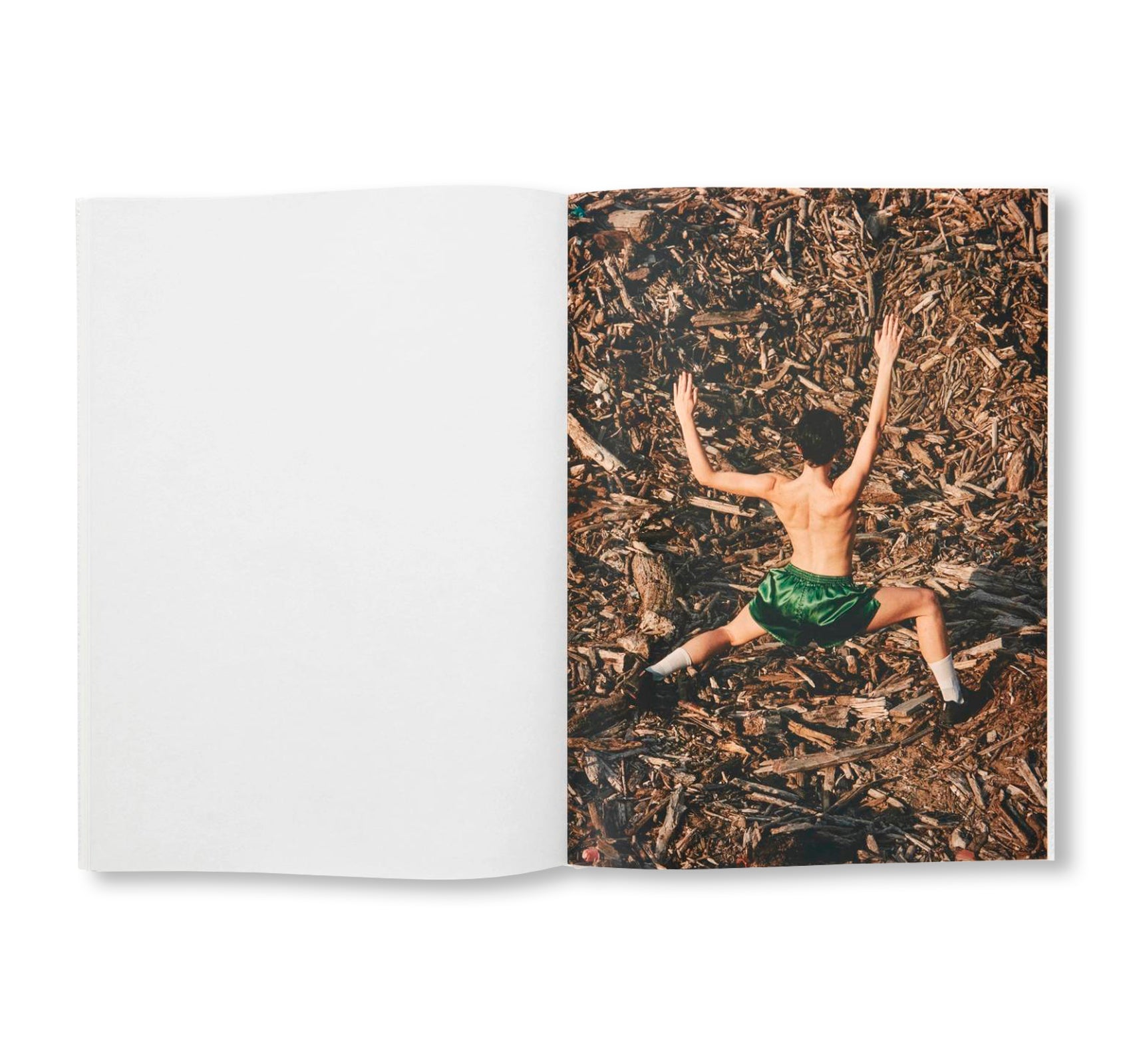 GABORITRONALDHAMILTON by Anthea Hamilton, Delphine Gaborit, Lewis Ronald