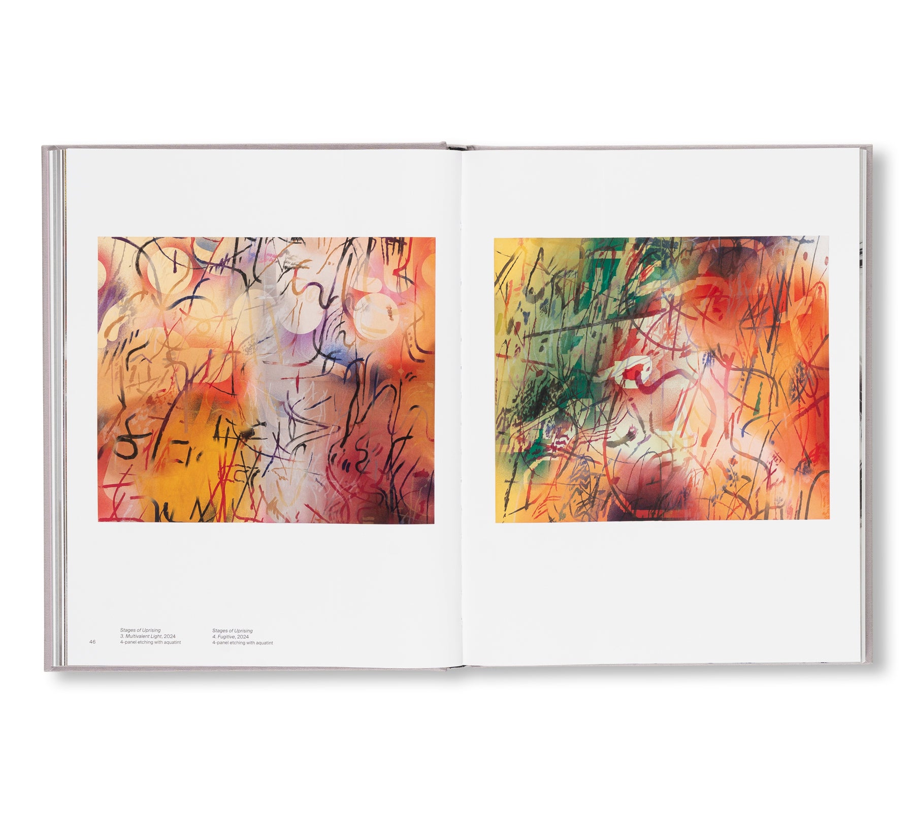 A TRANSCORE OF THE RADICAL IMAGINATORY by Julie Mehretu