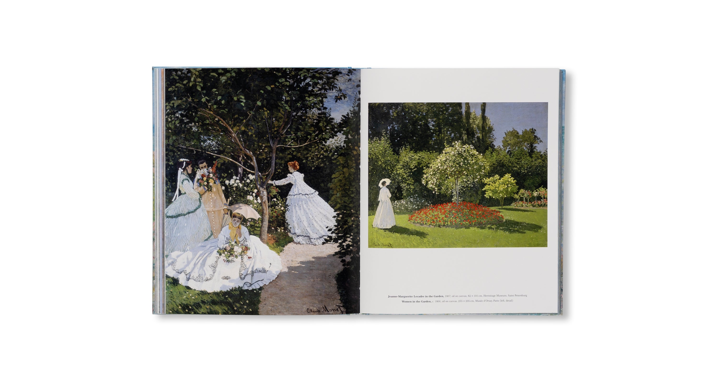 MONET - THE BIGGER PICTURE by Anne Sefrioui