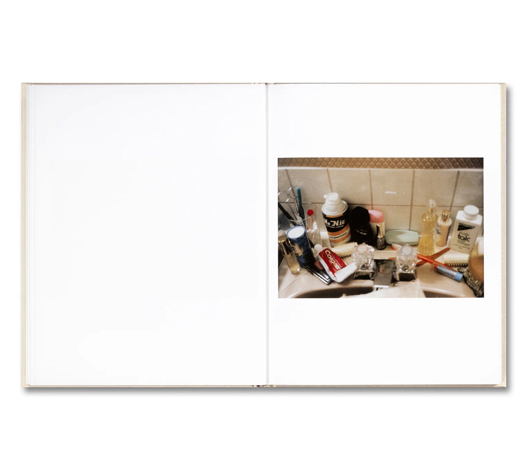 THE VIRGIN SUICIDES by Sofia Coppola – twelvebooks
