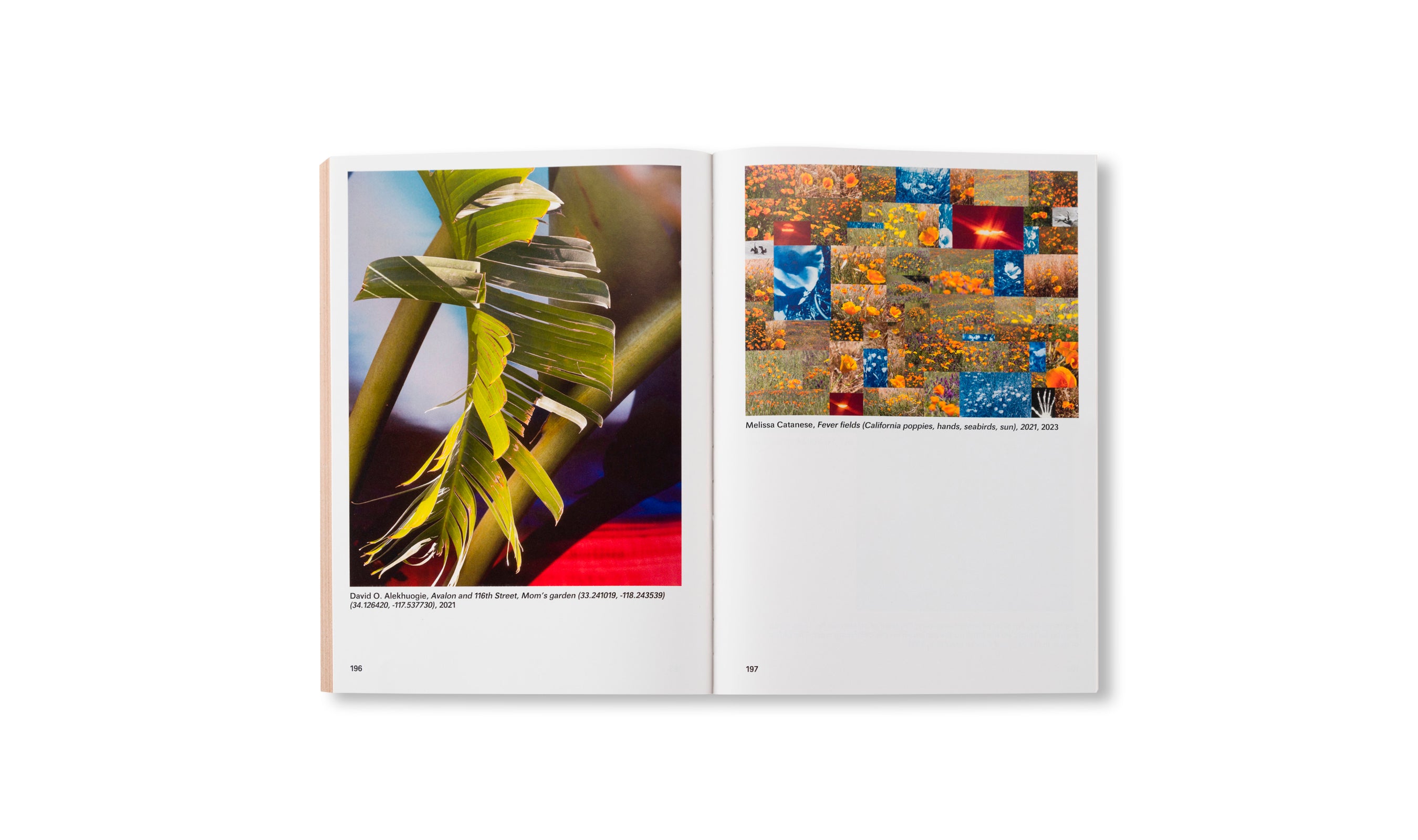 WIDENING THE LENS: PHOTOGRAPHY, ECOLOGY, AND THE CONTEMPORARY LANDSCAPE