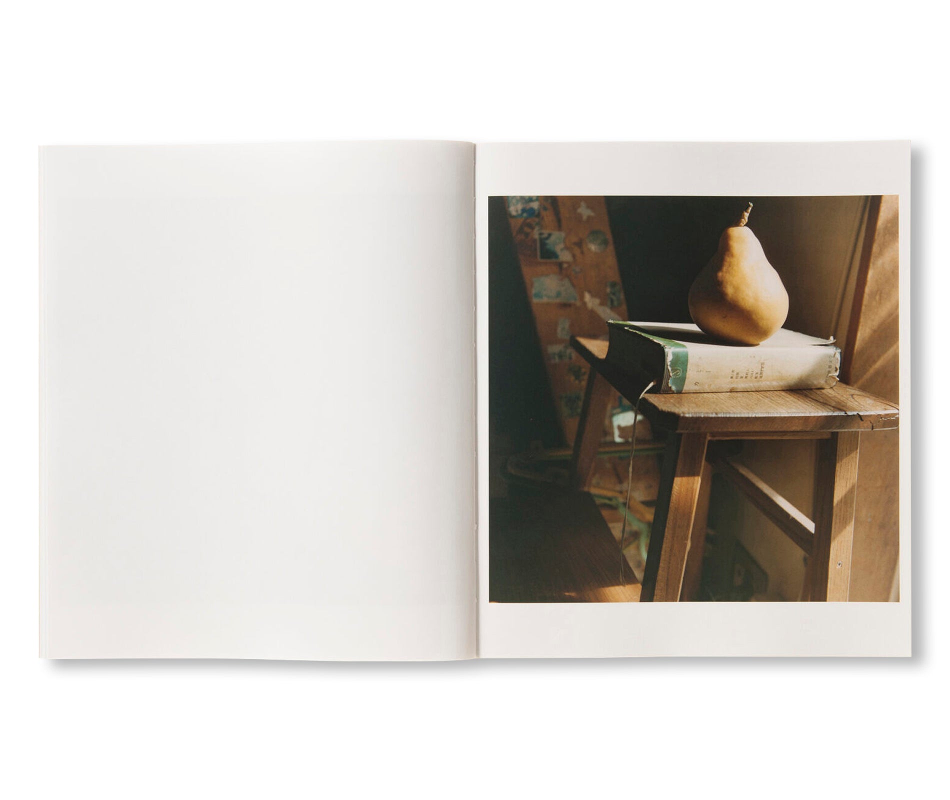 SMALL MYTHS by Mikiko Hara