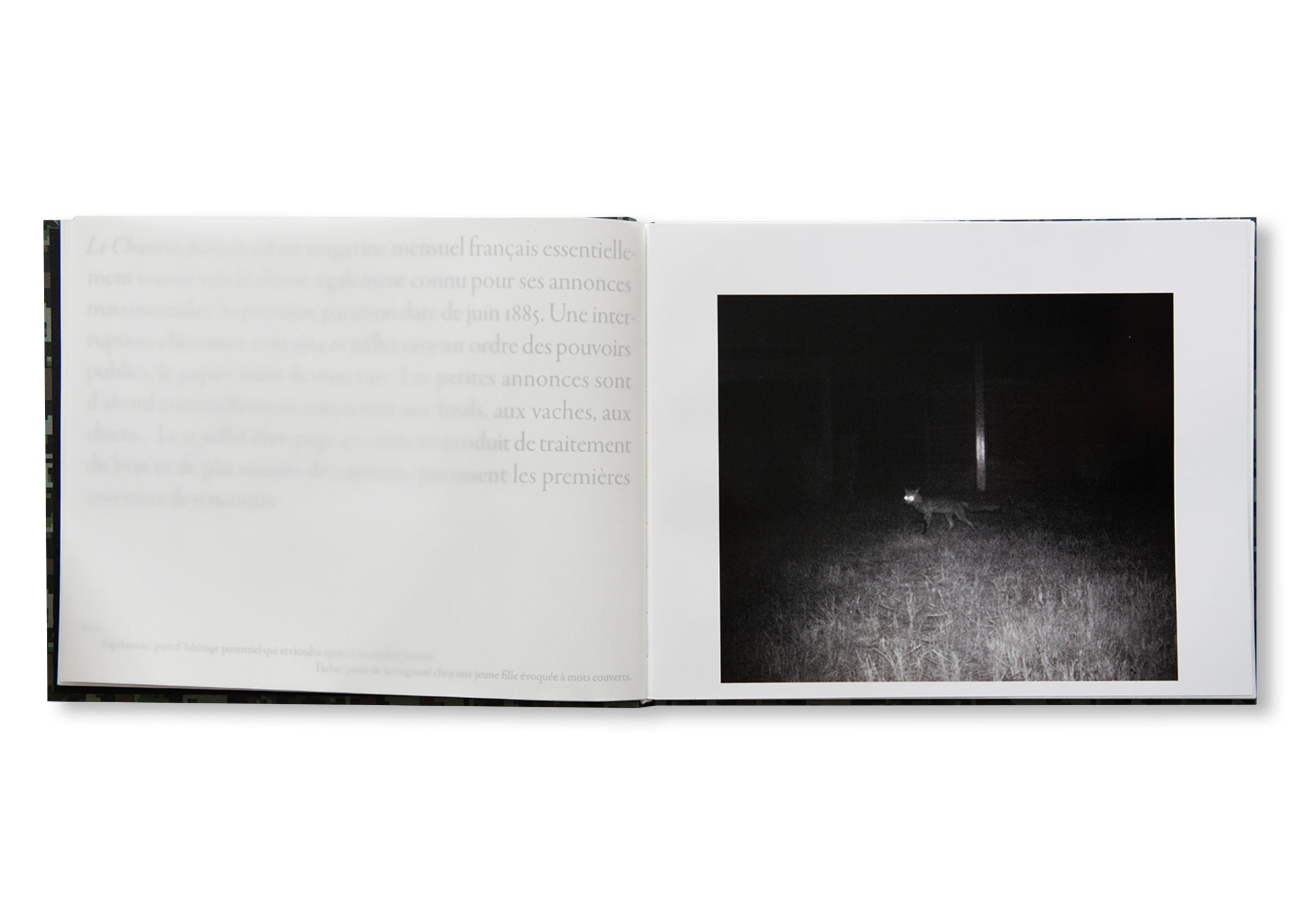 ON THE HUNT by Sophie Calle