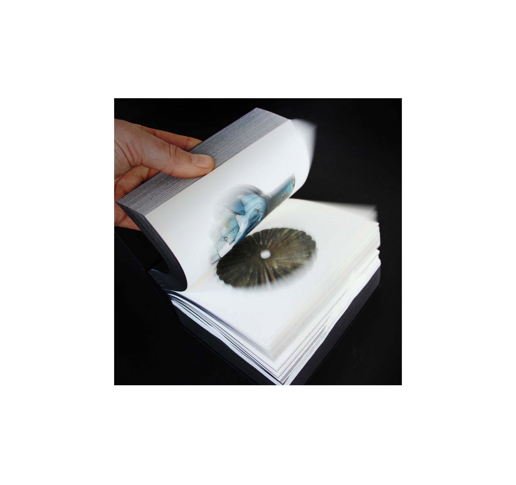 ONDER / UNDER AMSTERDAM by Irma Boom, Frederik Pesch