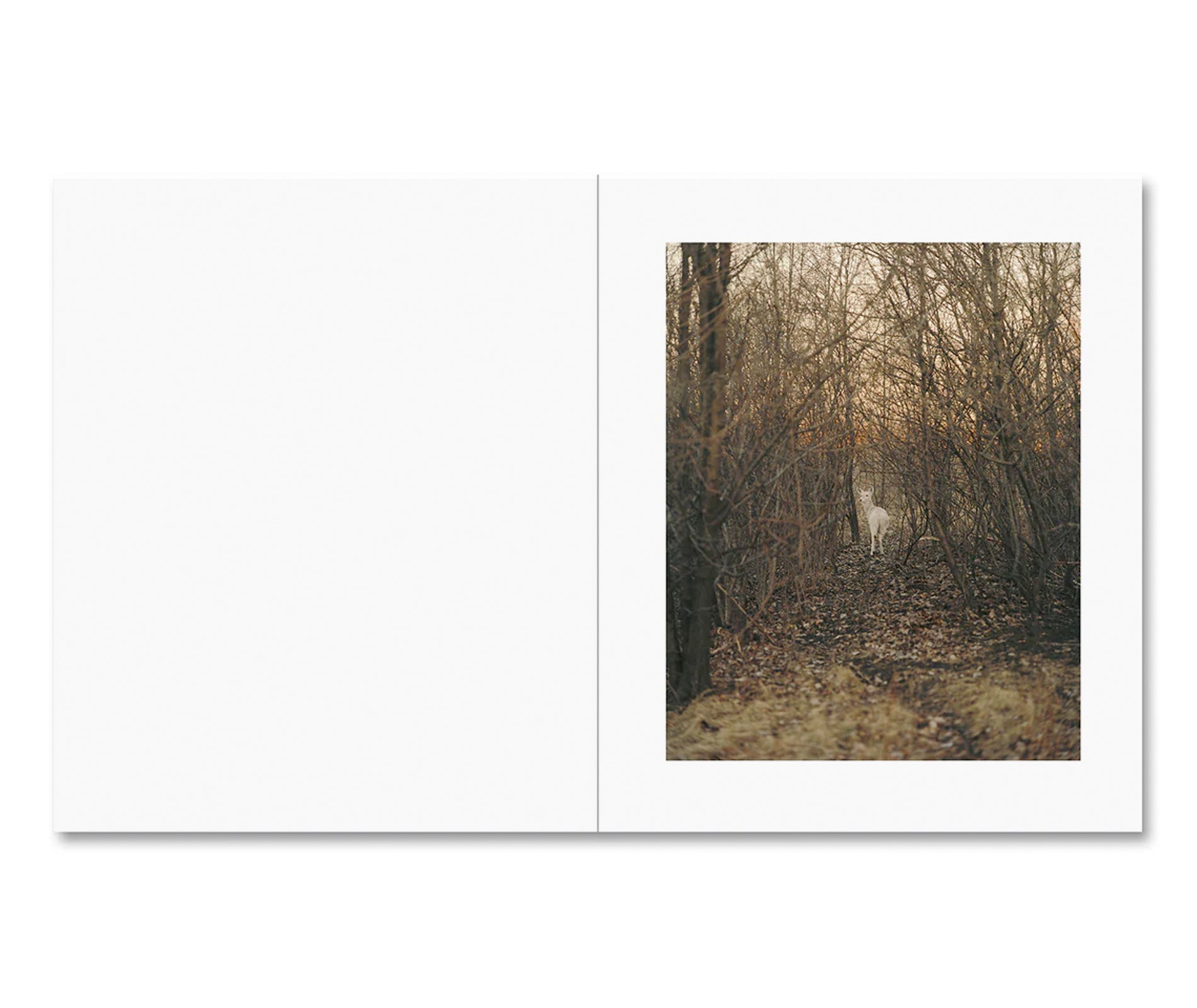 KING, QUEEN, KNAVE by Gregory Halpern [SIGNED]