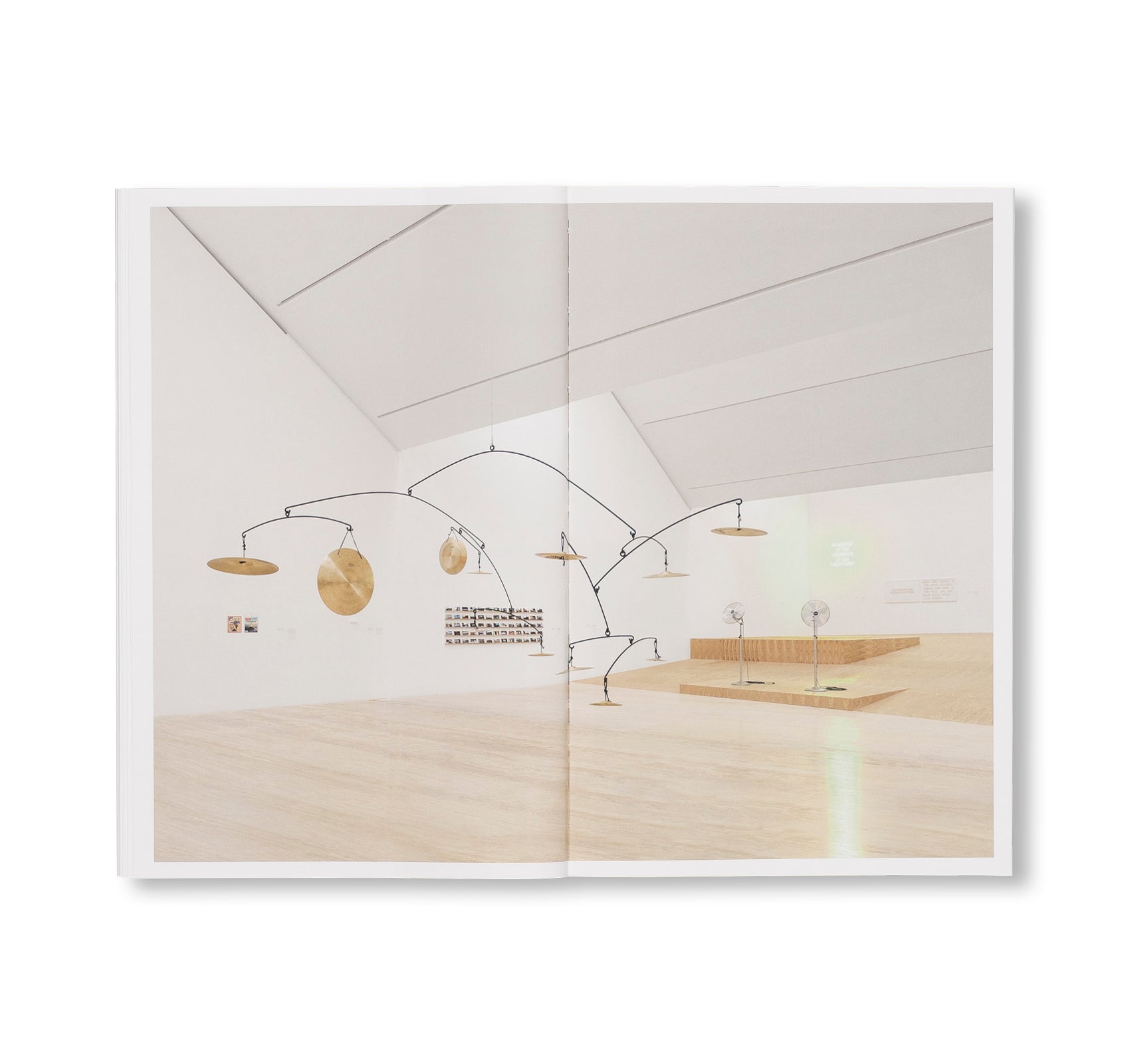 SUSPENDED MOMENT: THE ARCHITECTURE OF FRIDA ESCOBEDO by Frida Escobedo [ENGLISH EDITION]