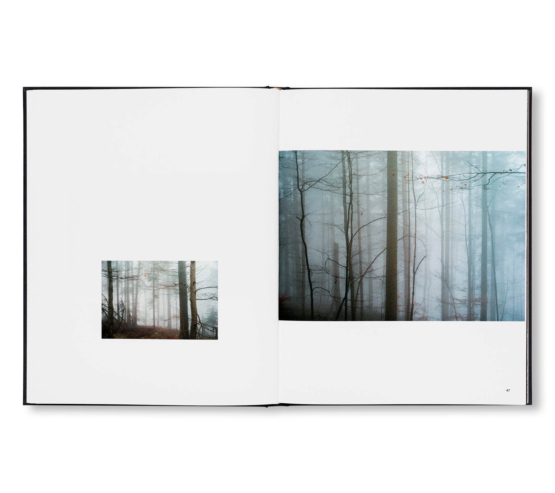 THE ENCOUNTER by Stéphan Crasneanscki [SIGNED]