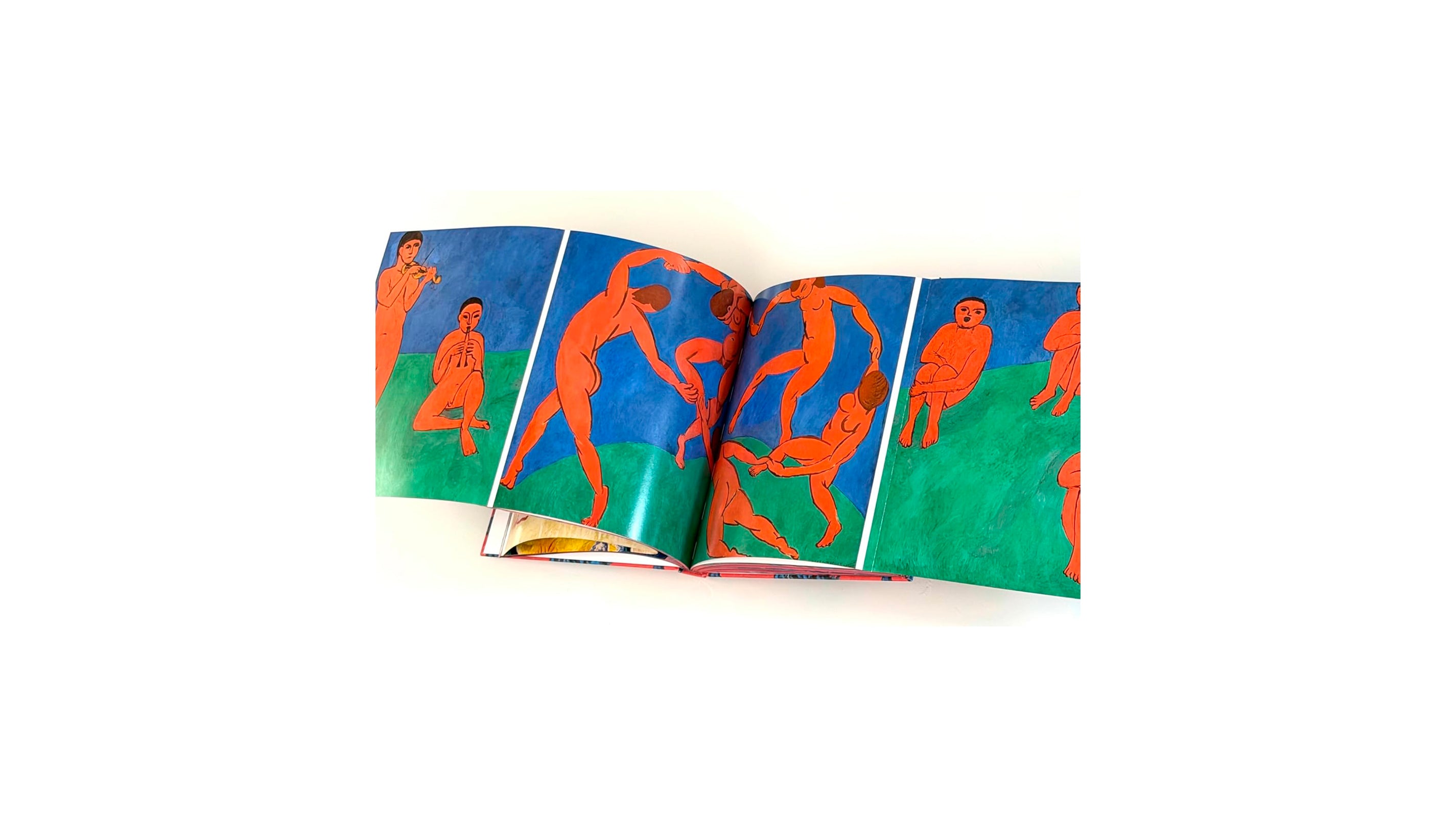 MATISSE - THE BIGGER PICTURE by Anne Sefrioui