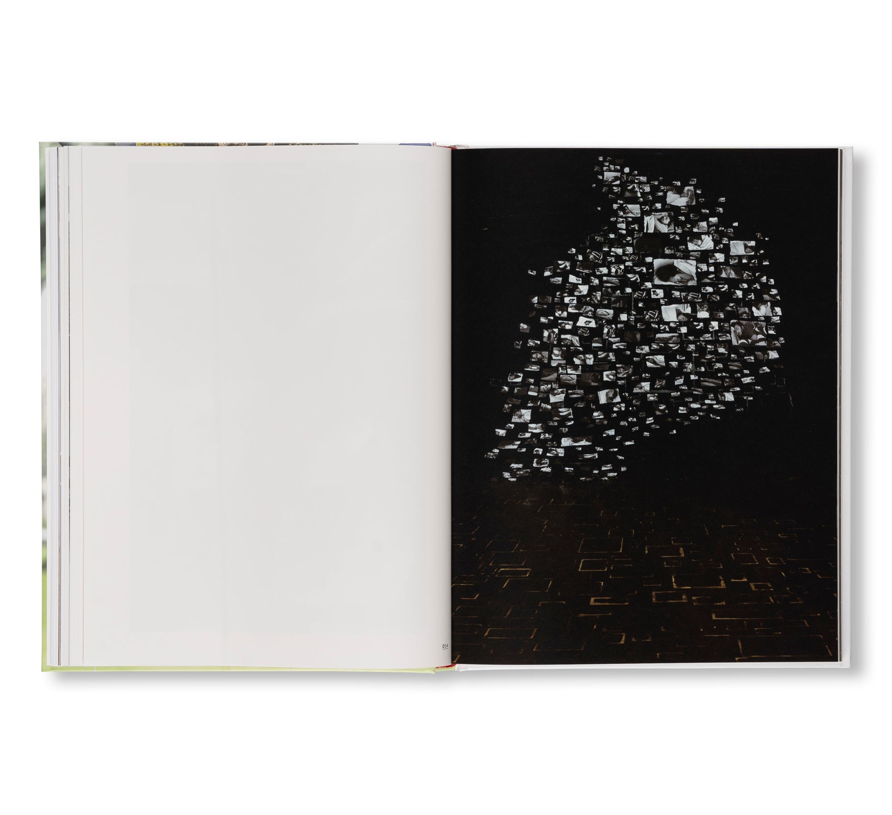 SARAH SZE by Sarah Sze