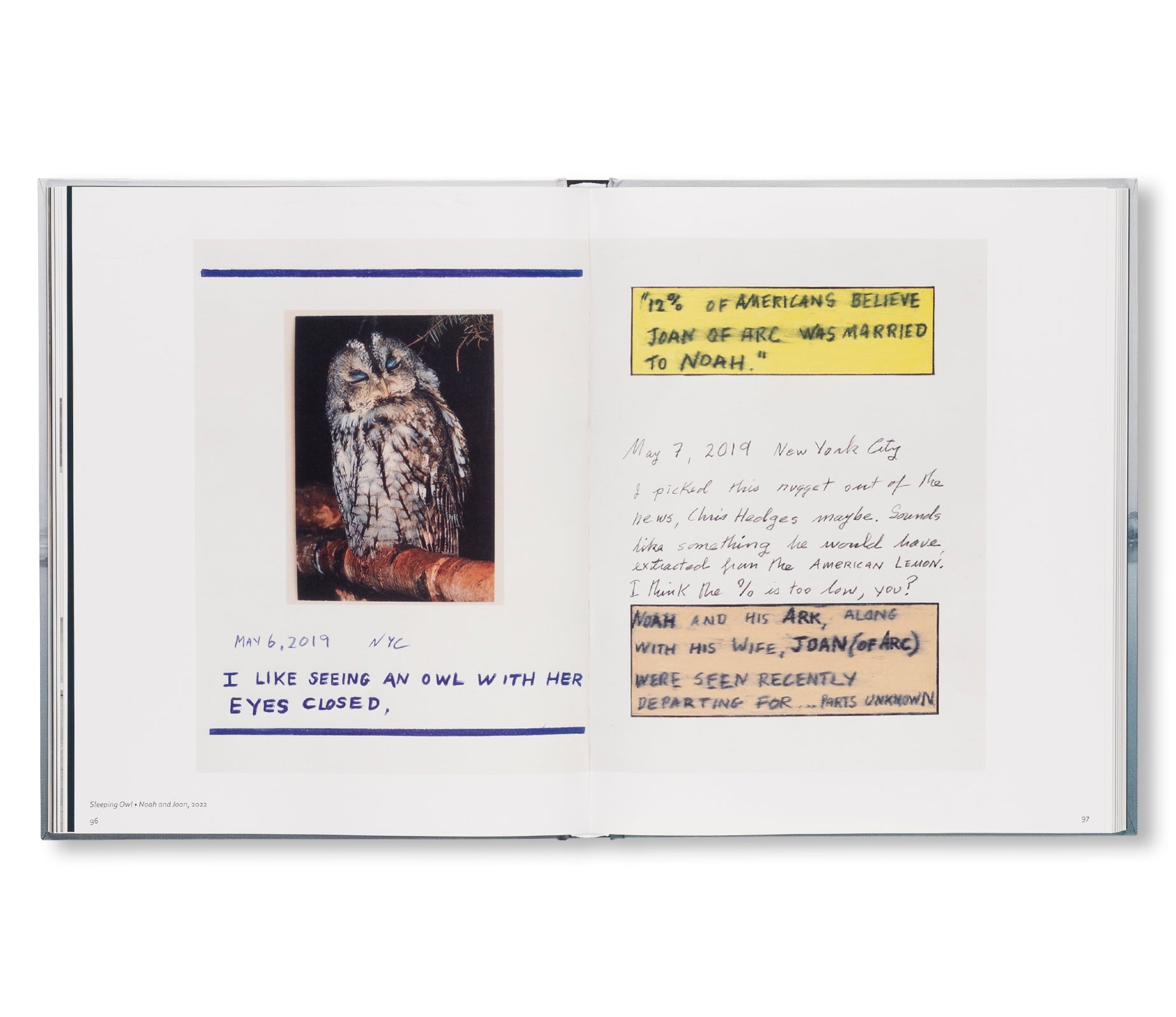 RONI HORN: WATER WATER ON THE WALL, YOU’RE THE FAIREST OF THEM ALL by Roni Horn