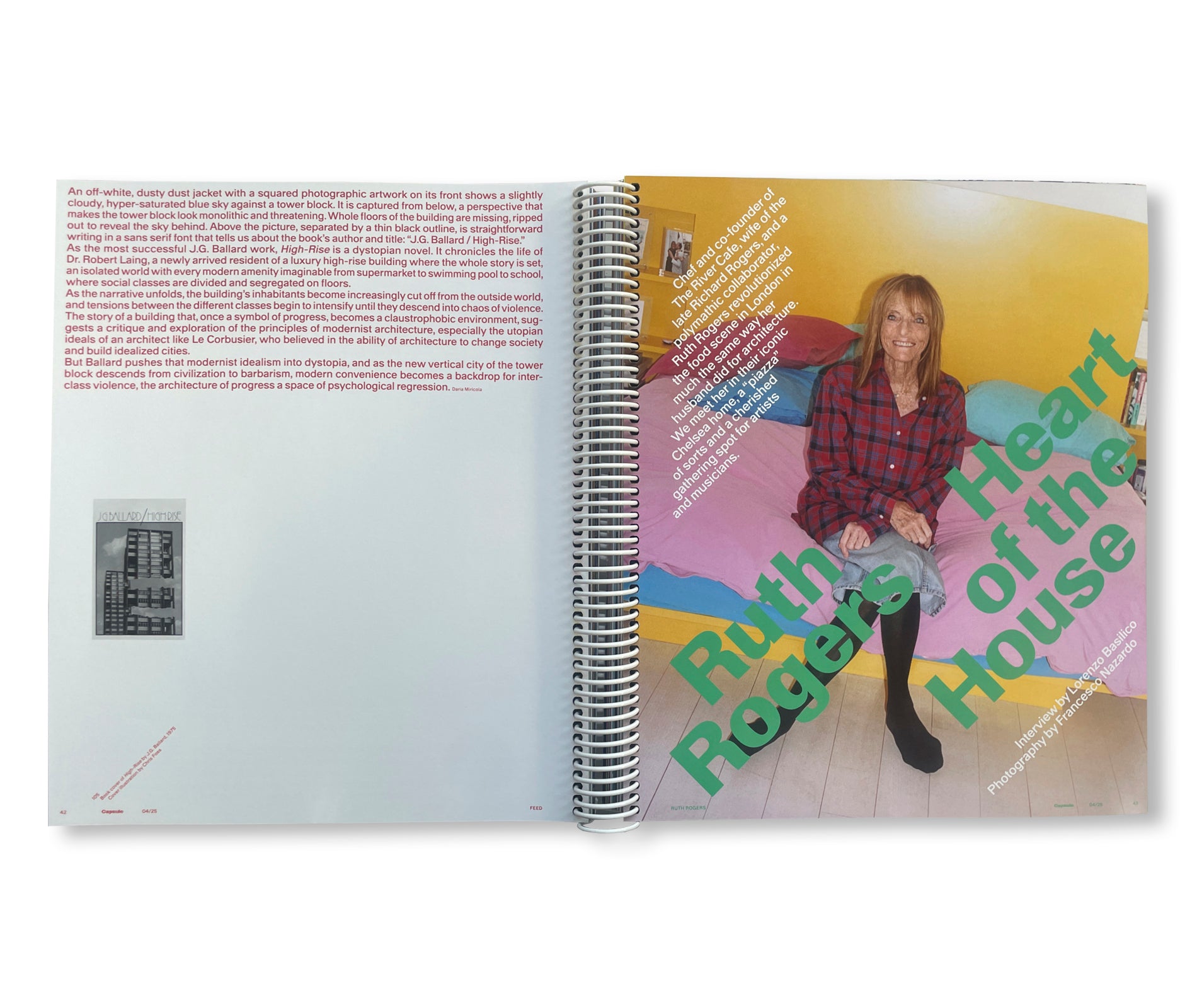 CAPSULE ISSUE 4 – THE ARCHITECTURE OF DSM