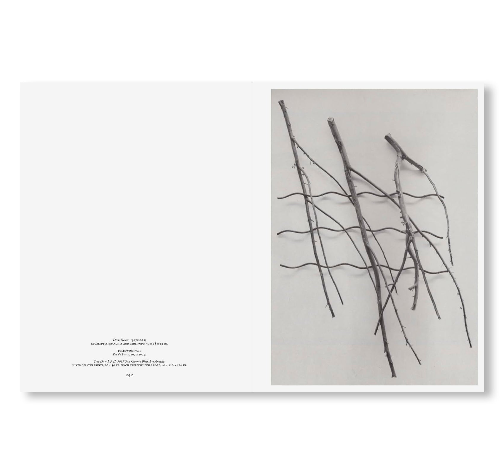 MAREN HASSINGER: LIVING MOVING GROWING by Maren Hassinger