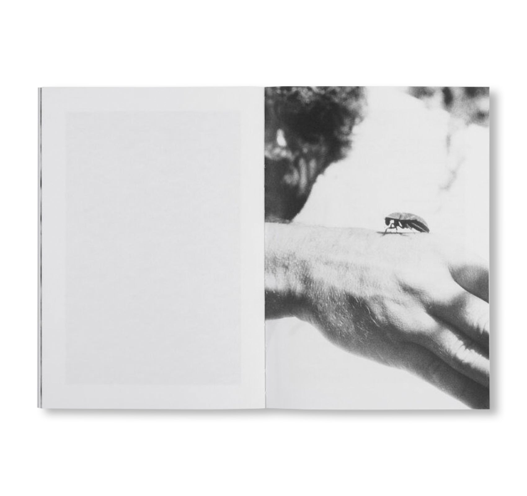 LOCAL ECOLOGY. KASTELLORIZO by Jochen Lempert