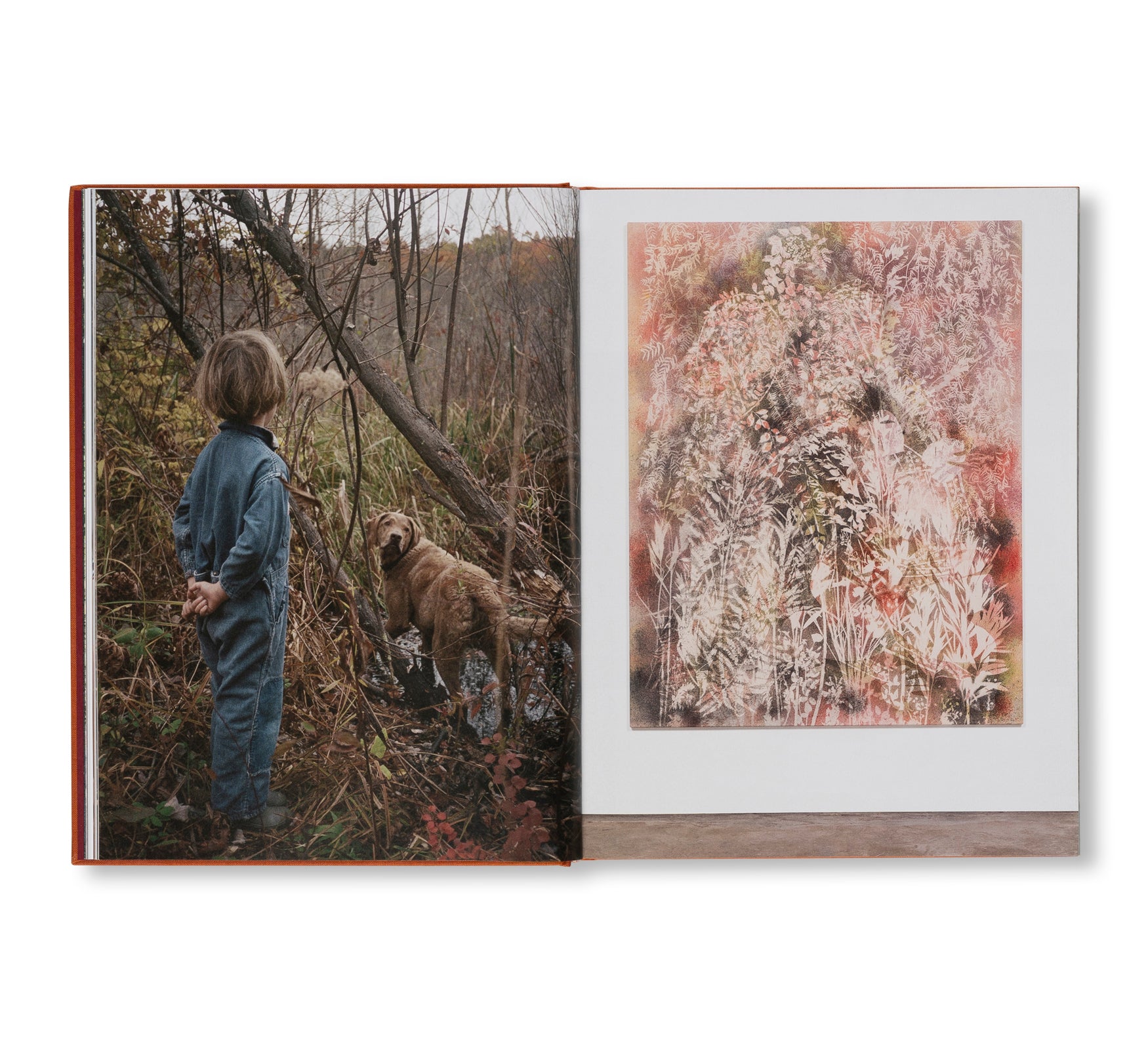 AFTER LIFE by Sam Falls