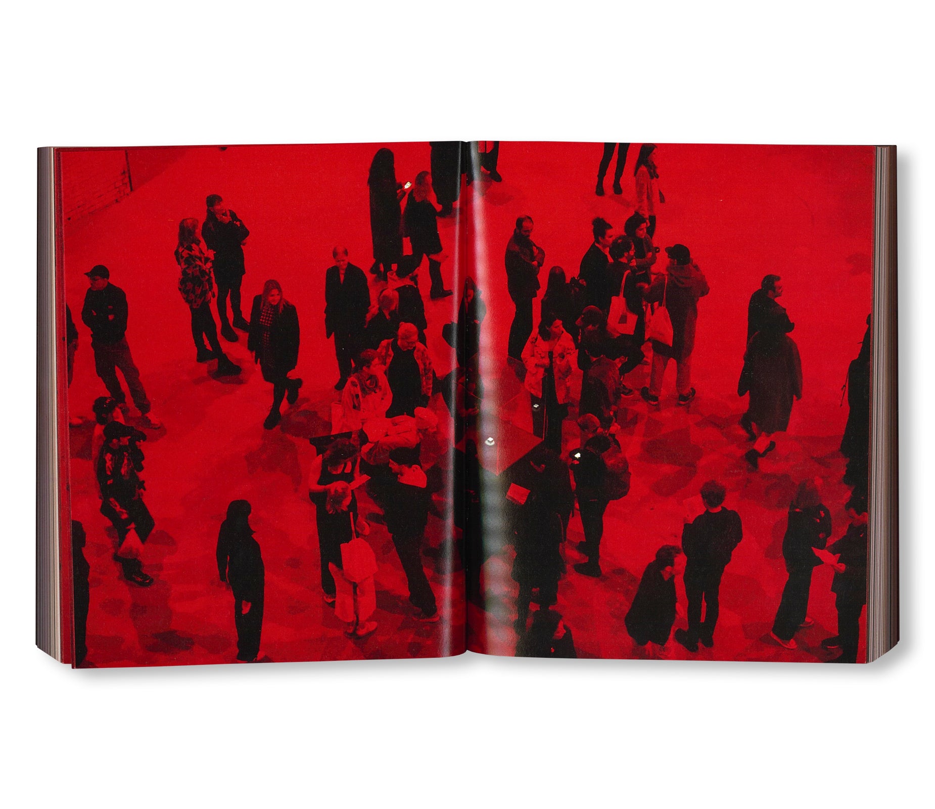 THE END OF THE WORLD by Alfredo Jaar