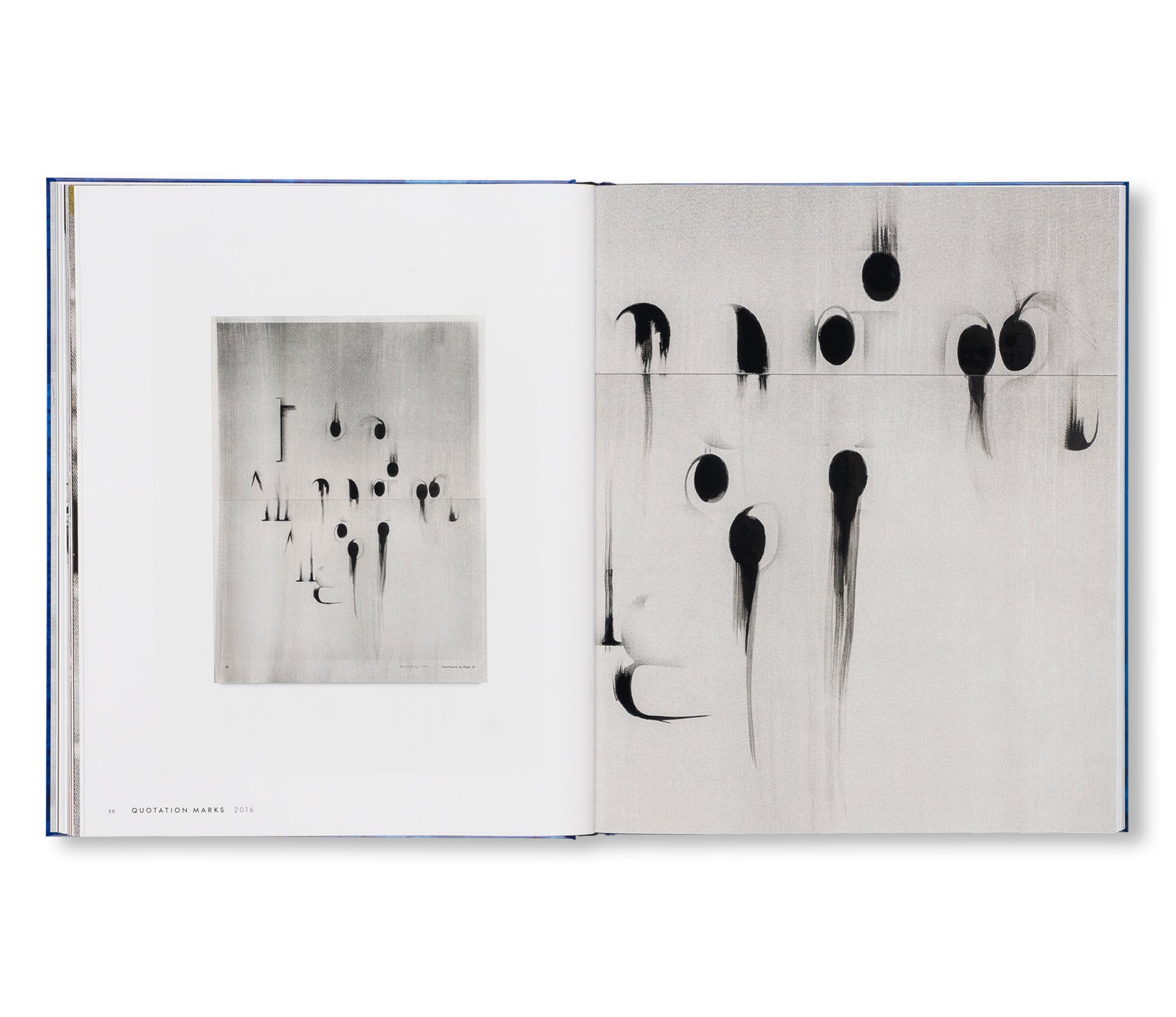 SOURCE NOTES by Lorna Simpson