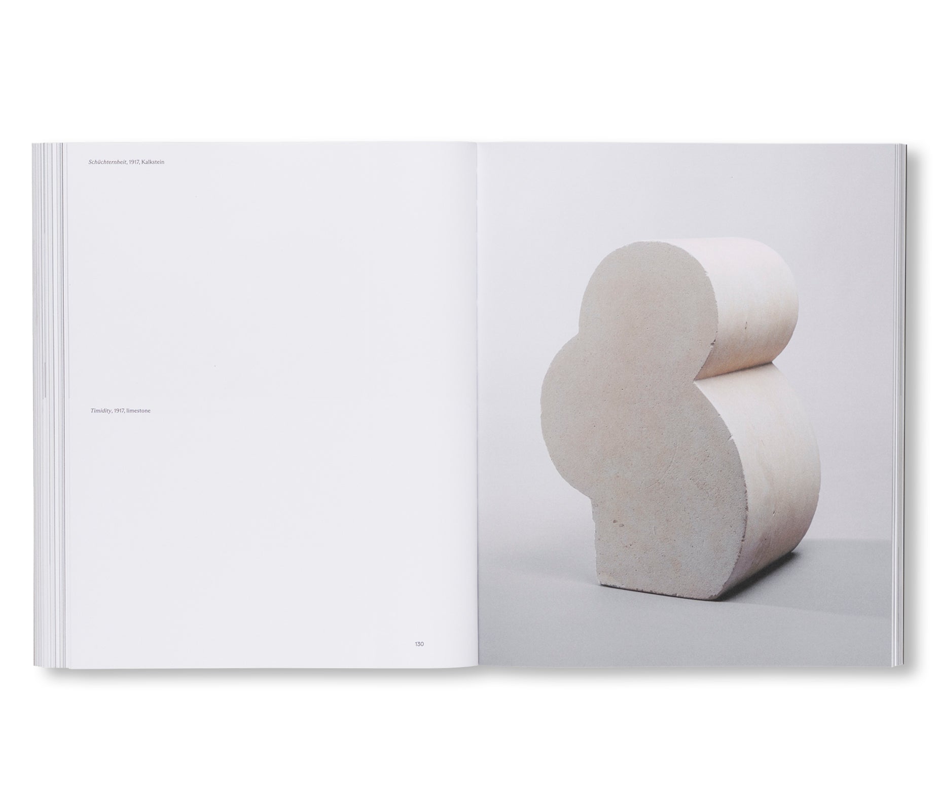 BRANCUSI by Constantin Brancusi