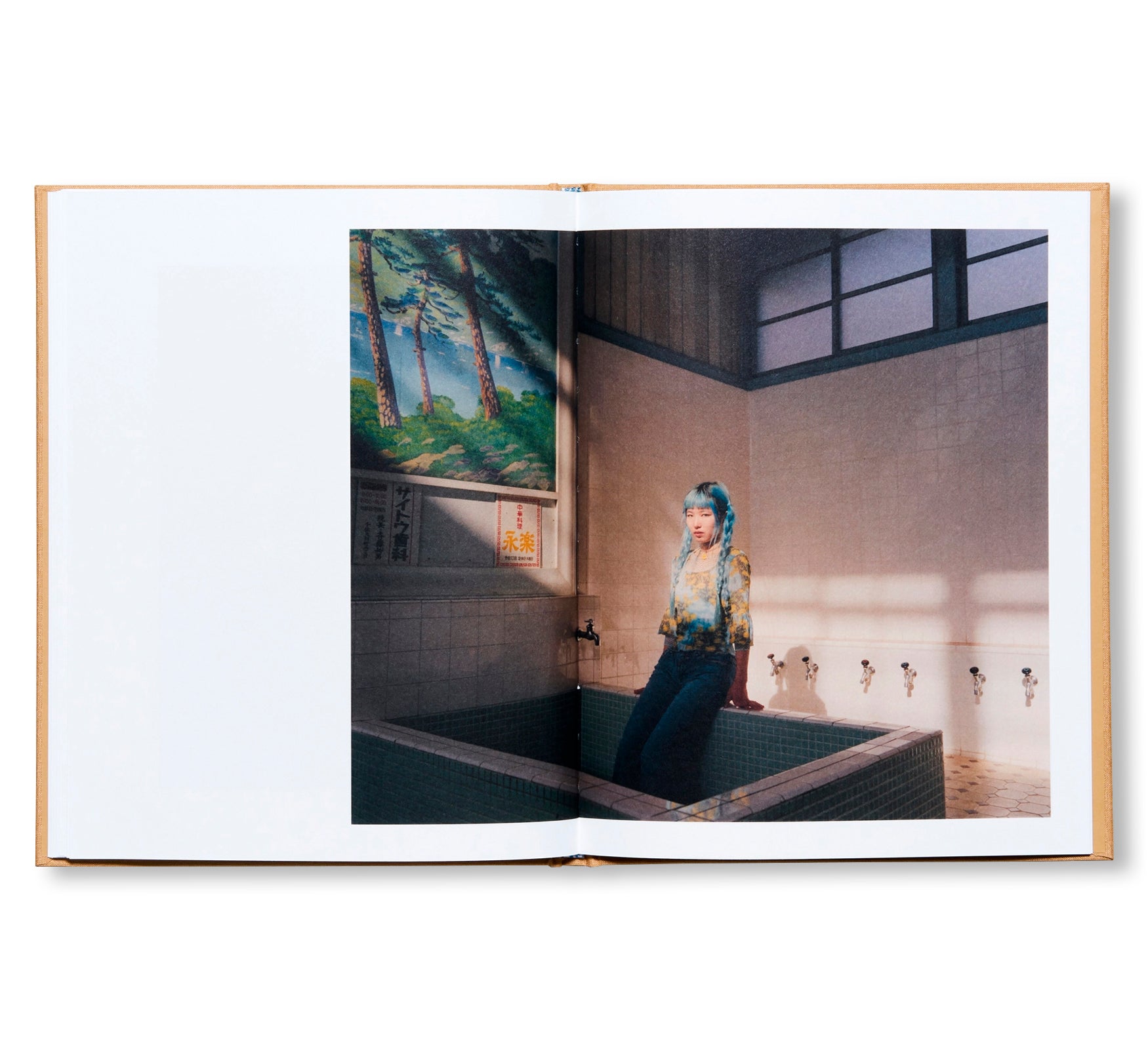 AYA by Francesca Allen [SIGNED]