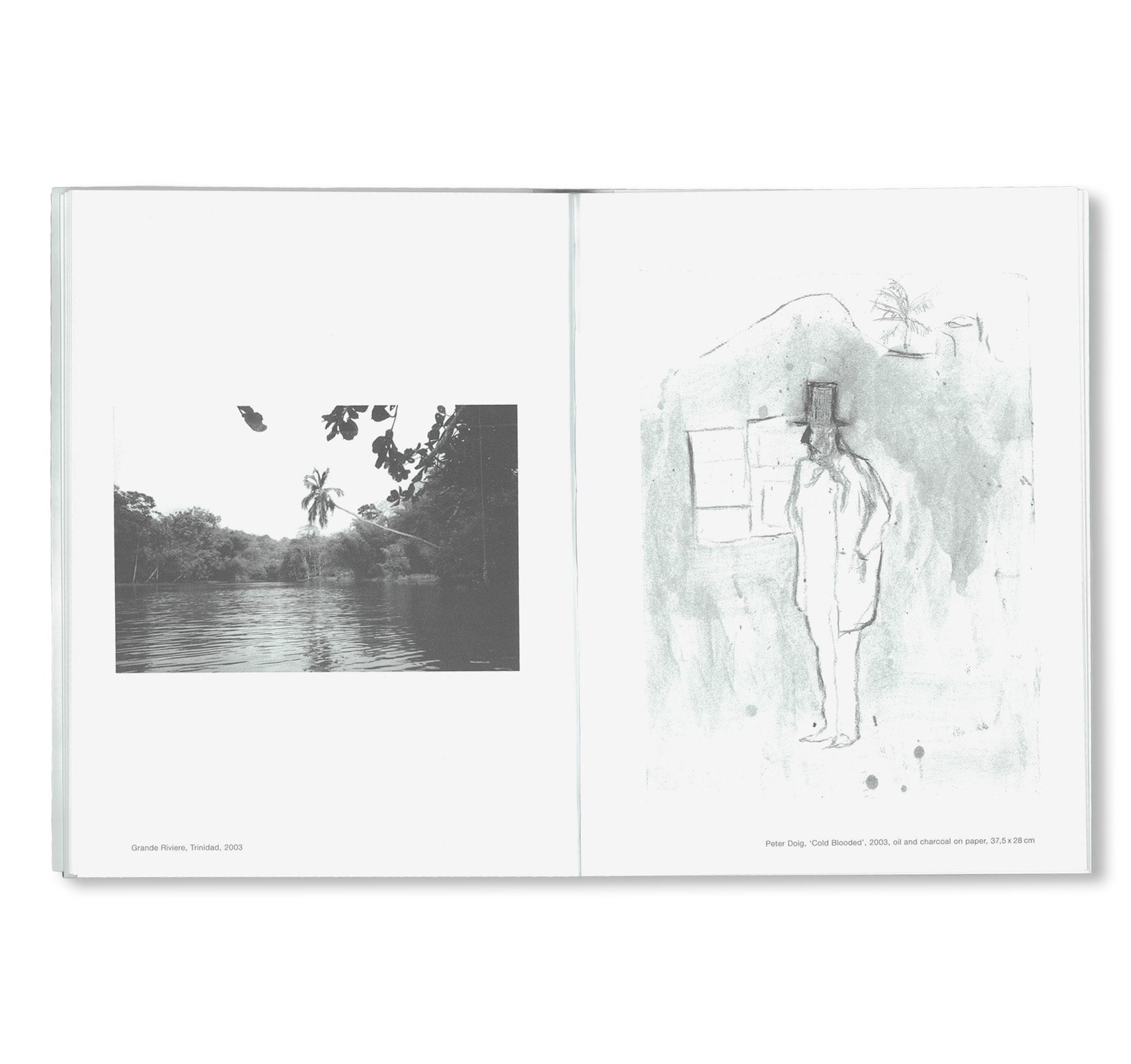 PETER DOIG / JOCHEN KLEIN by Peter Doig, Jochen Klein