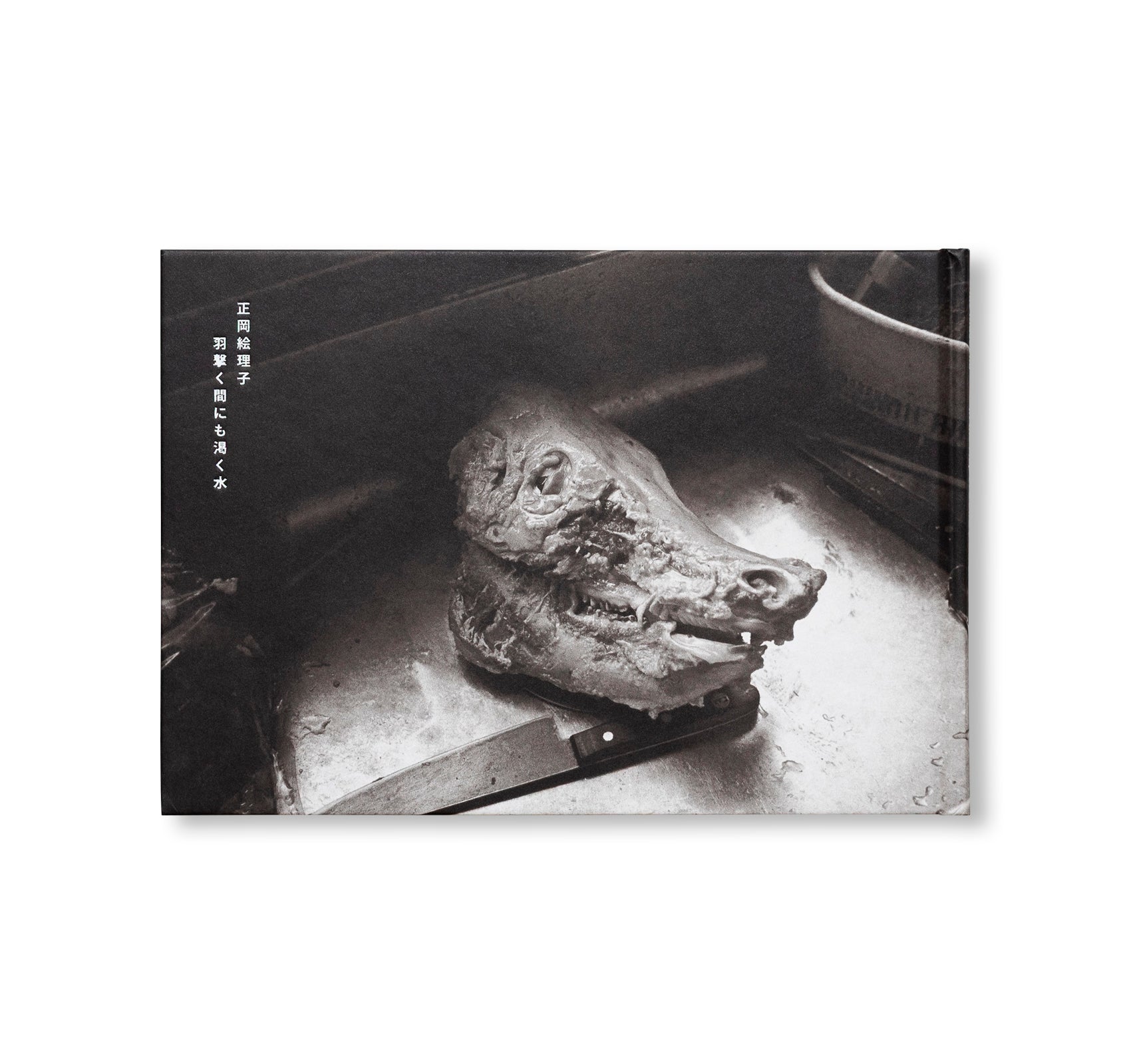 IN THE FLAP OF A BIRD'S WING, WATER DRIES UP by Eriko Masaoka