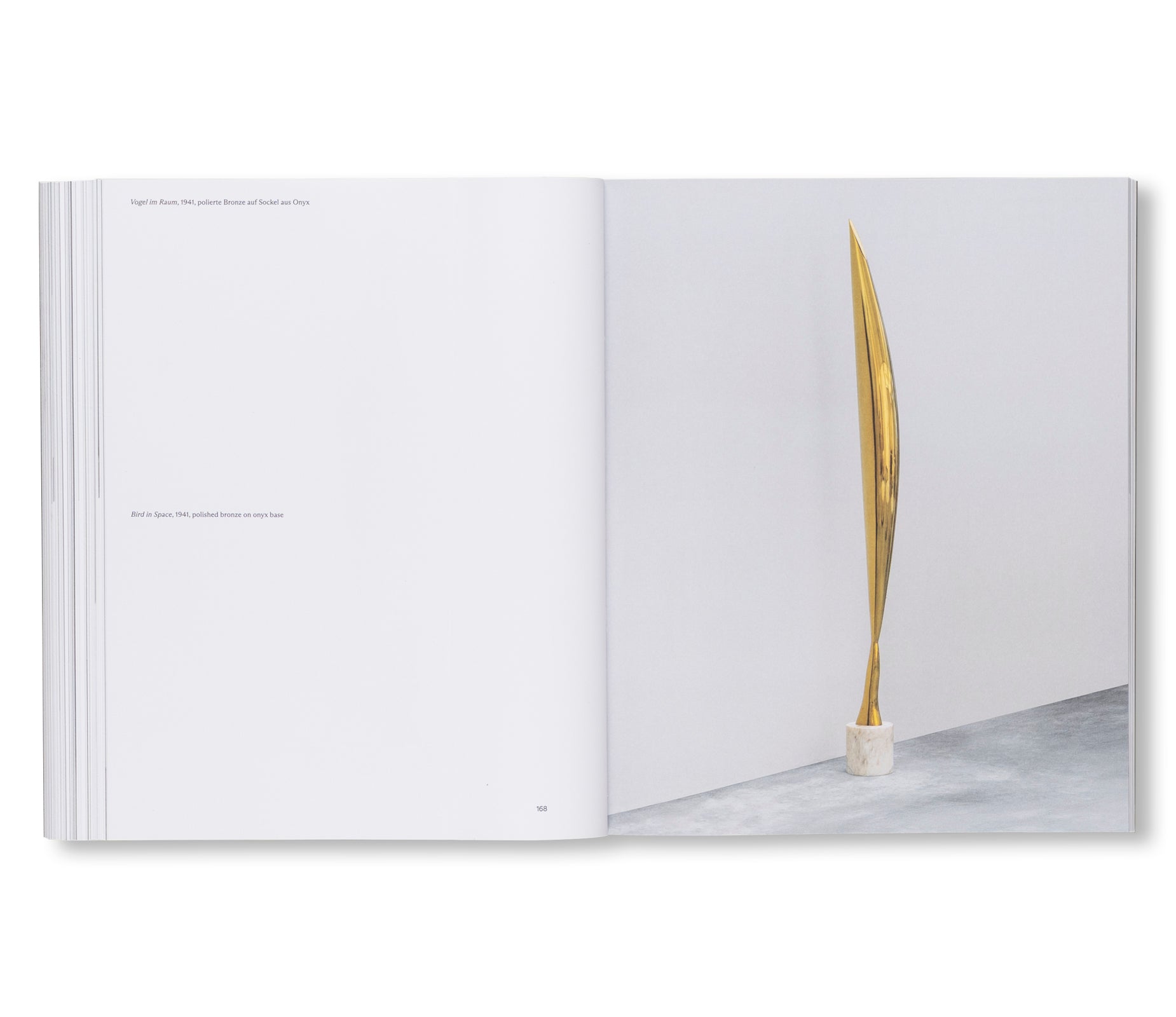BRANCUSI by Constantin Brancusi