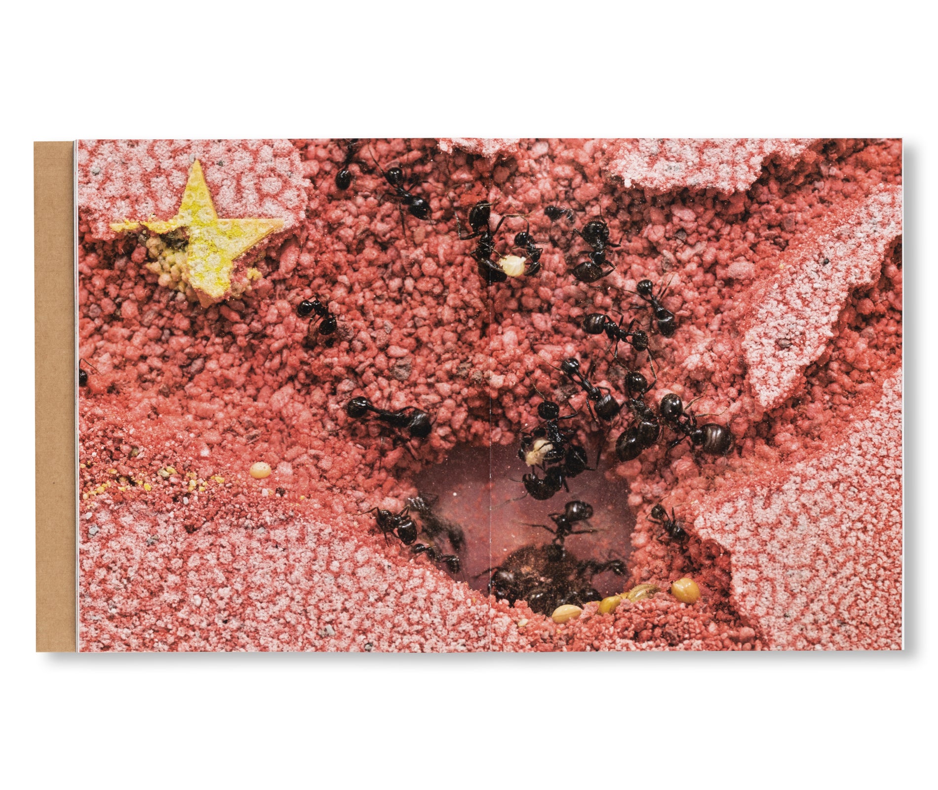 ICARUS by Yukinori Yanagi