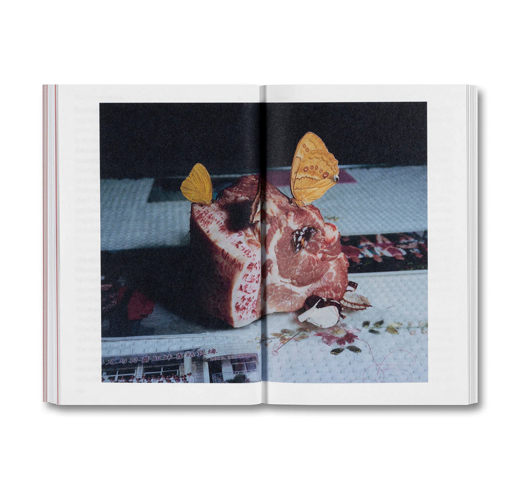 THE DEVOURING EYE: PHOTOGRAPHY AND THE MOUTH by Olivier Richon