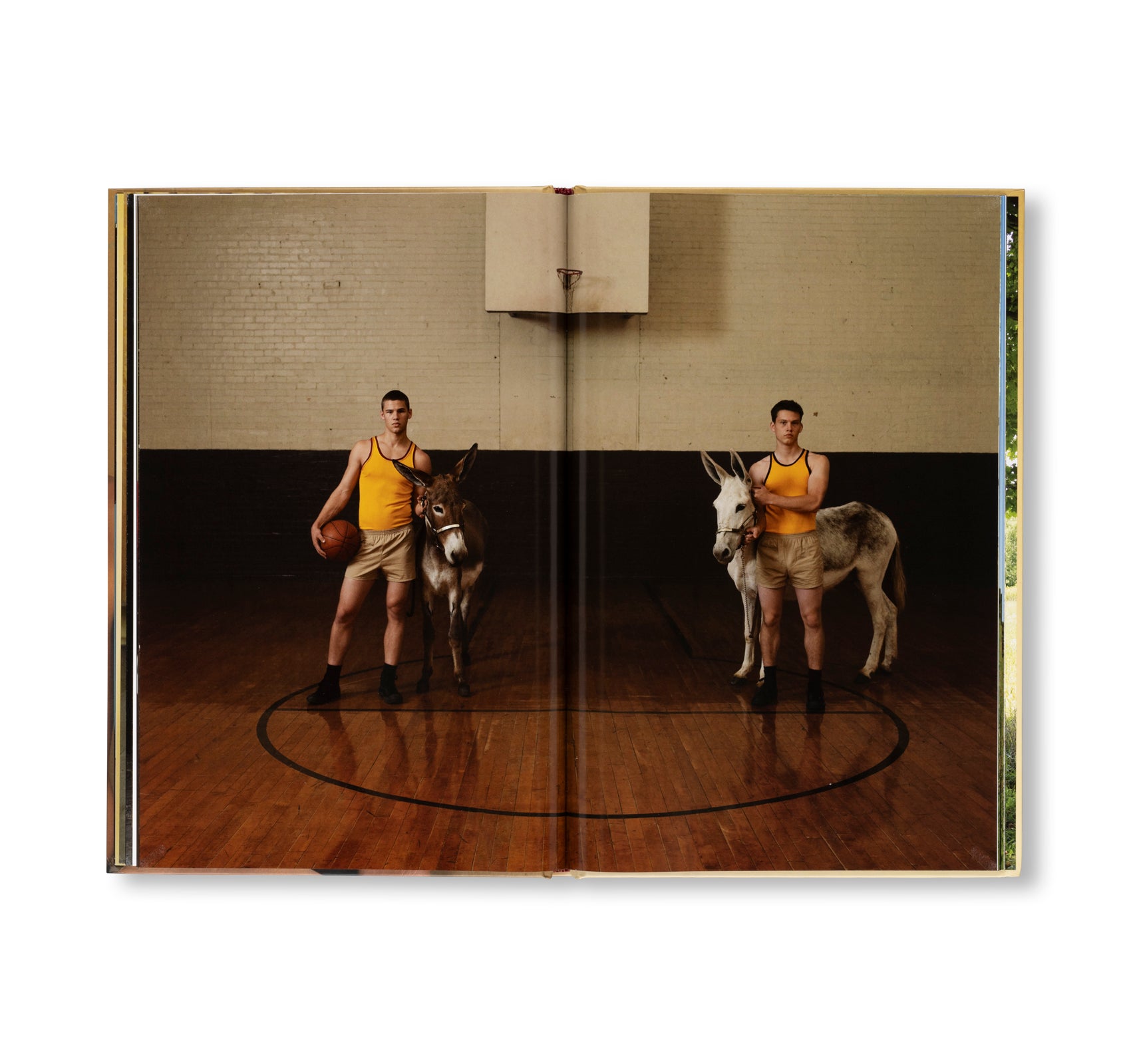 EXERCISE AT HOME by Luke Smalley [SECOND EDITION]
