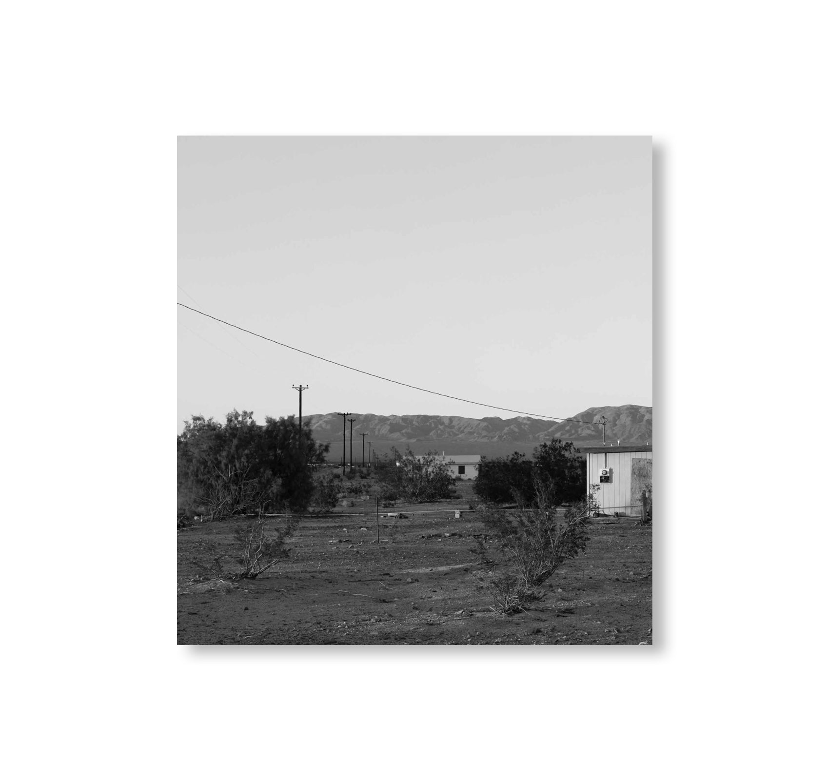 DOGS CHASING MY CAR IN THE DESERT by John Divola [REMASTERED EDITION]