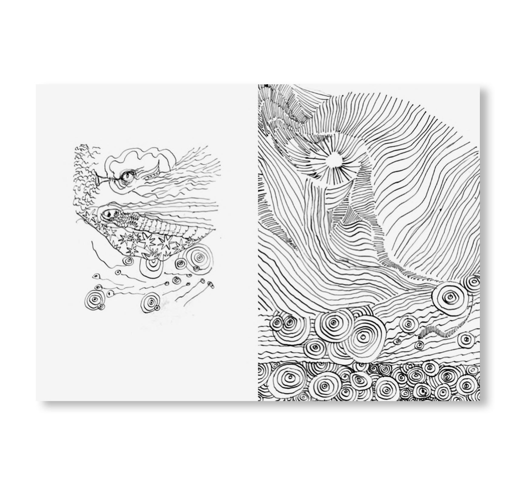 A CONGREGATION OF CLOUDS - A BOX SET OF ZINES BY 8 ARTISTS