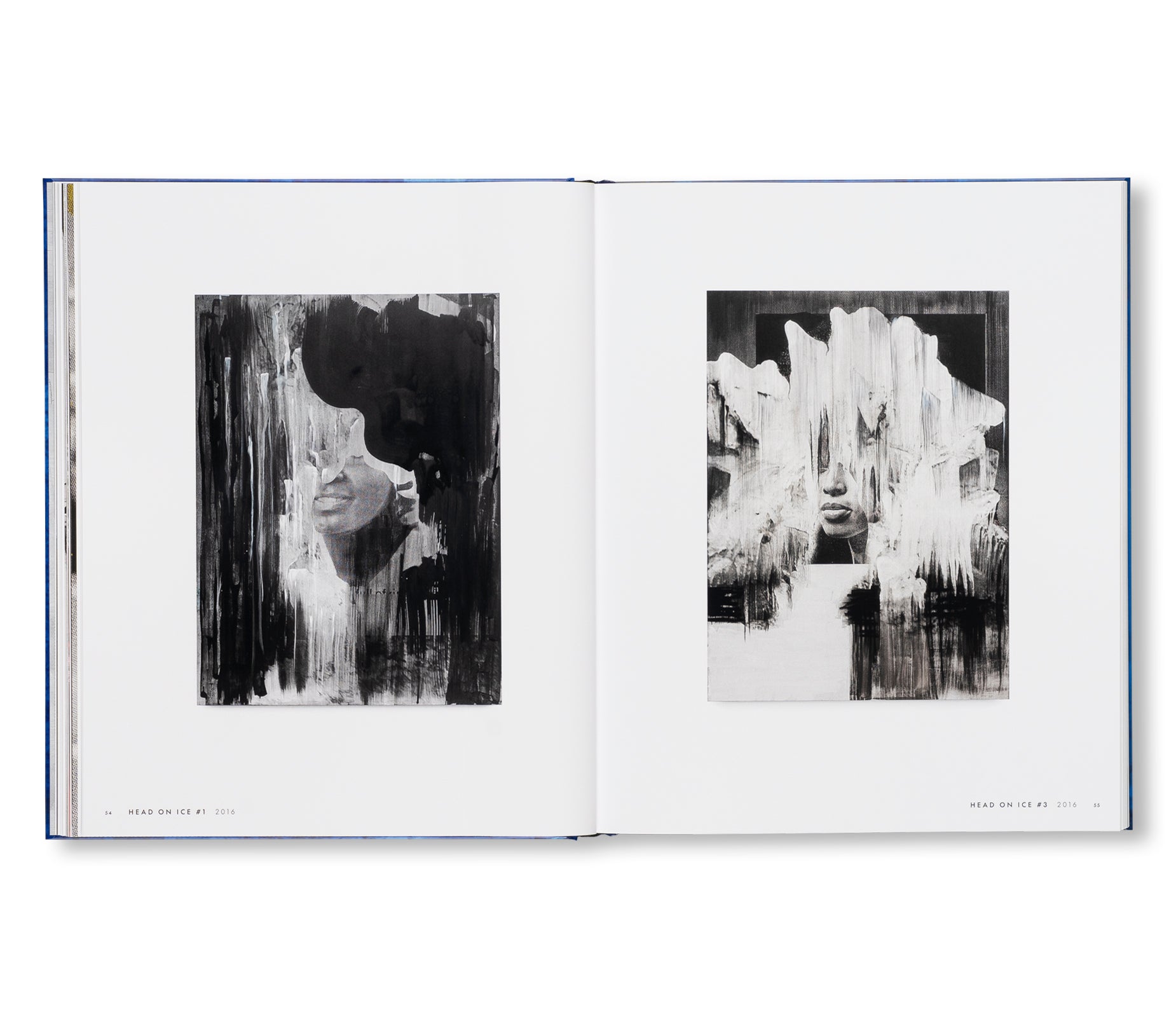 SOURCE NOTES by Lorna Simpson