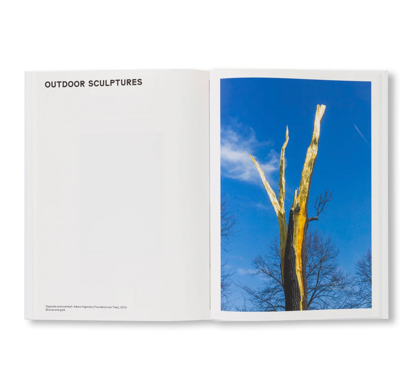 GIUSEPPE PENONE: THOUGHTS IN THE ROOTS by Giuseppe Penone