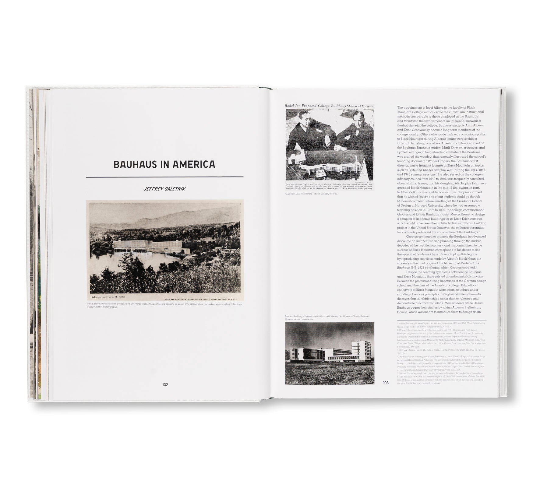 LEAP BEFORE YOU LOOK by Helen Molesworth