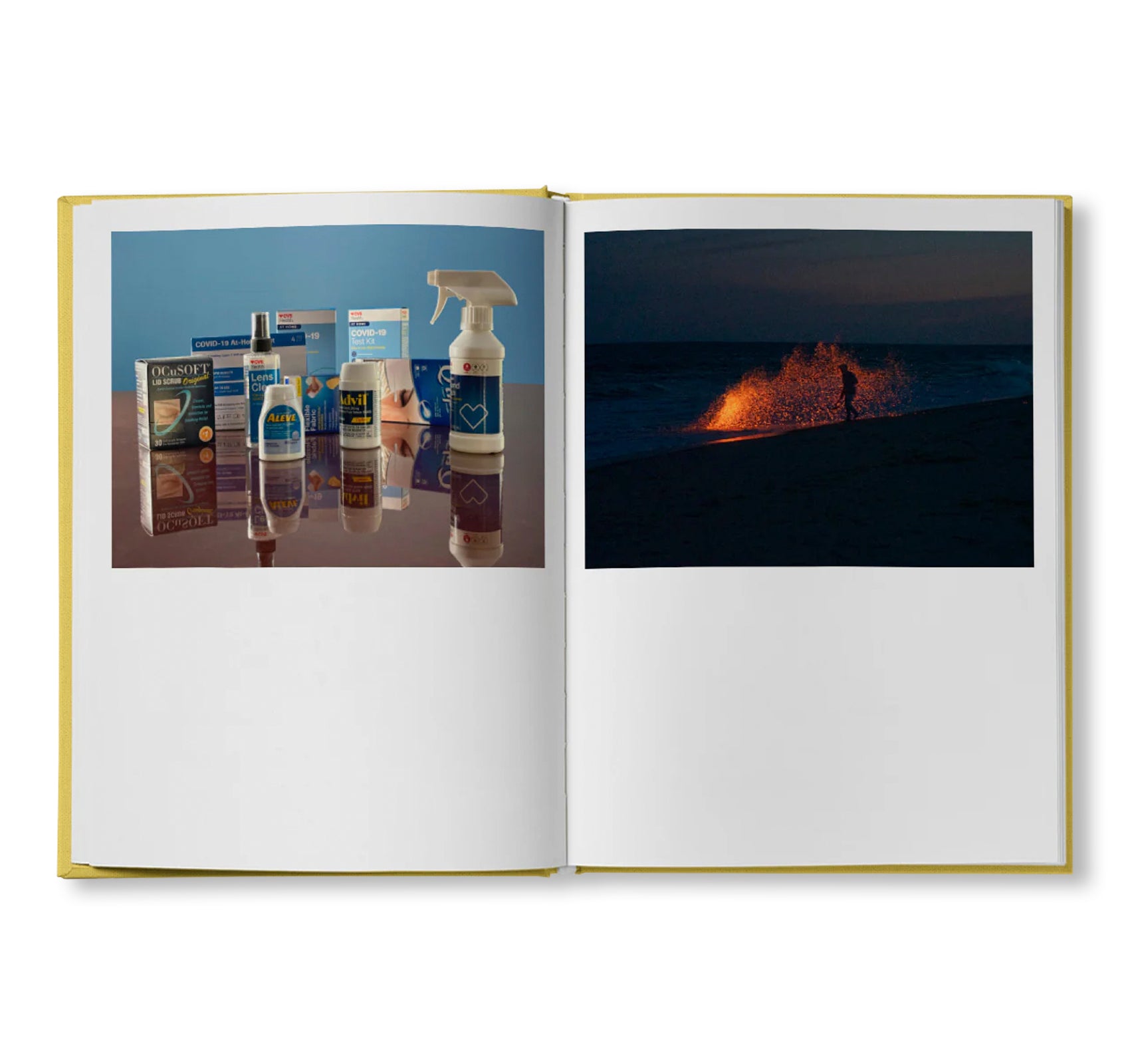 IRREVERSIBLE ORDER by Lisa Donneson