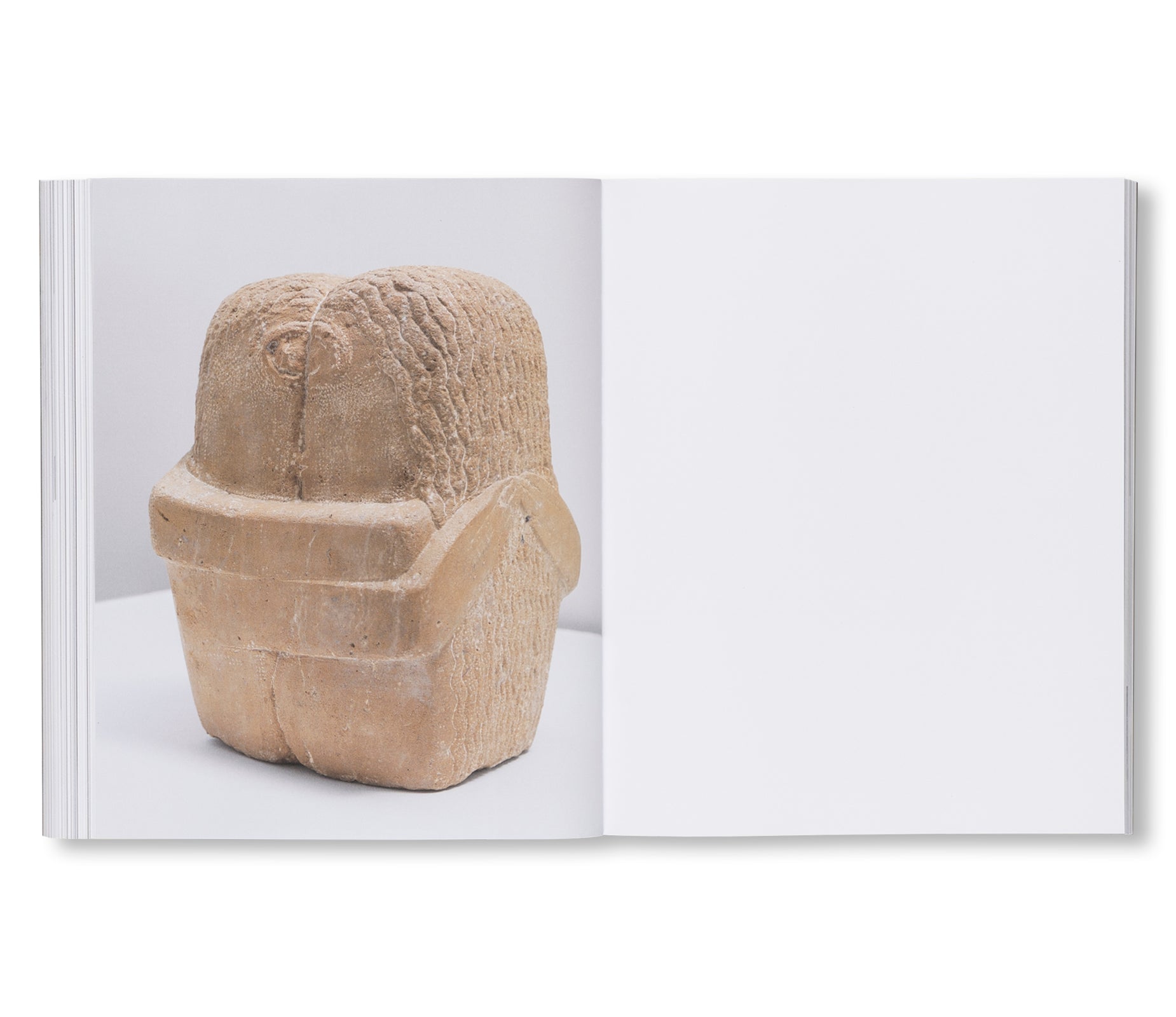 BRANCUSI by Constantin Brancusi