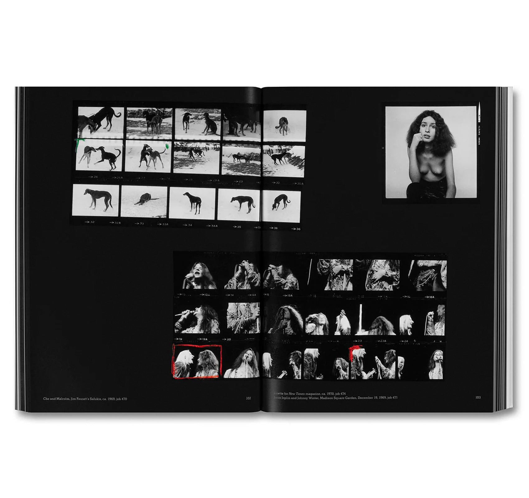 HUJAR: CONTACT by Peter Hujar