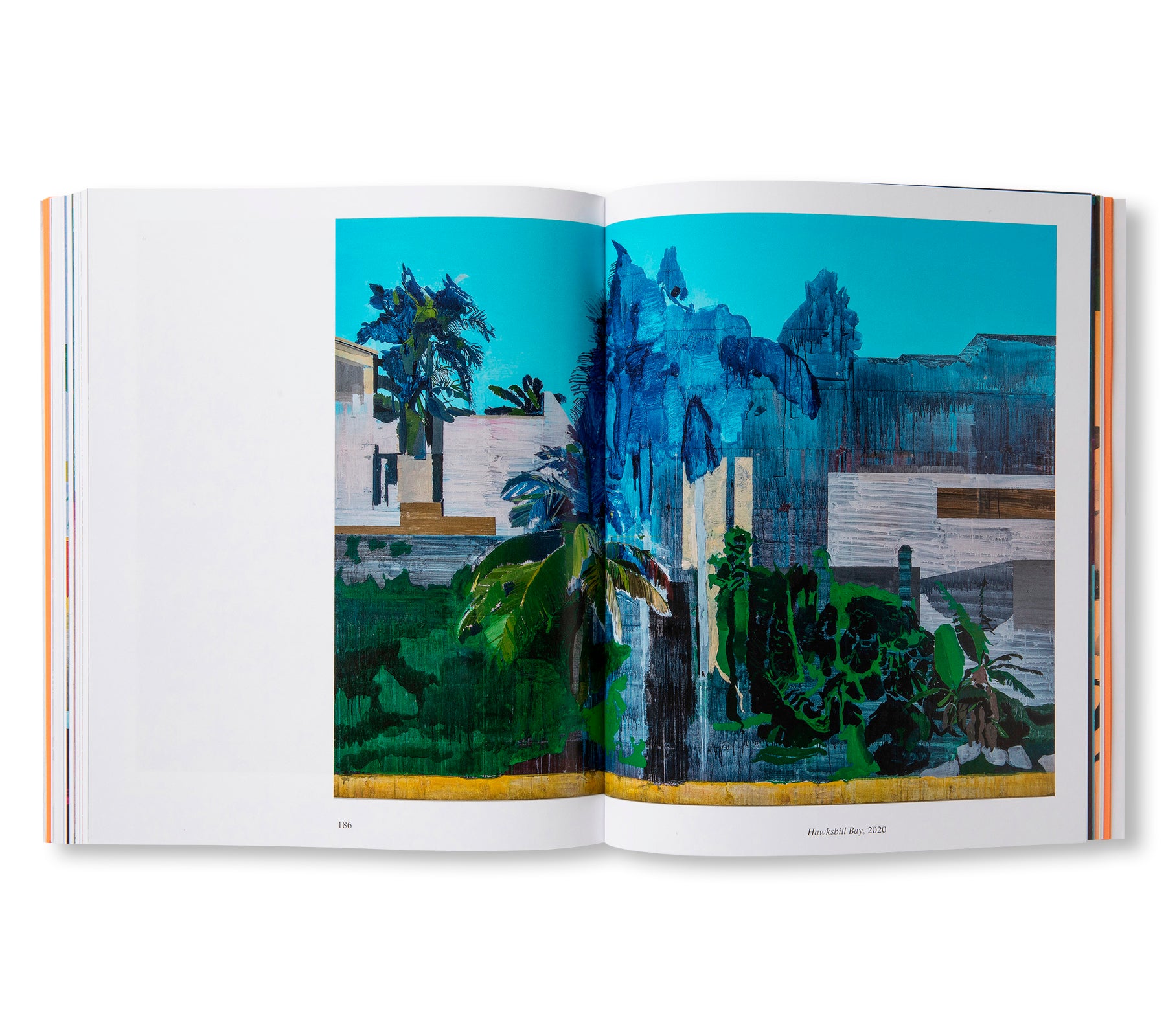 HURVIN ANDERSON by Hurvin Anderson (TATE PUBLISHING)