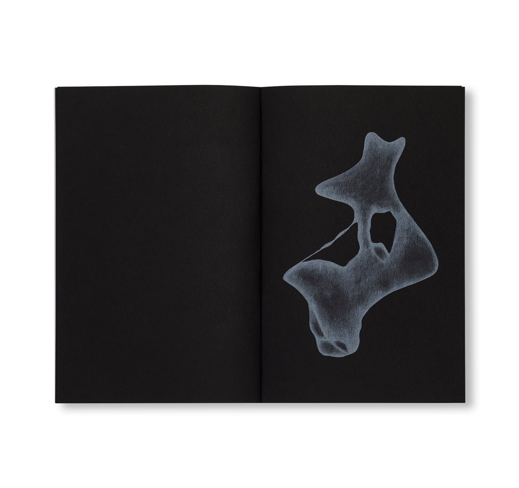 CORPS FLOTTANTS by Constance Guisset